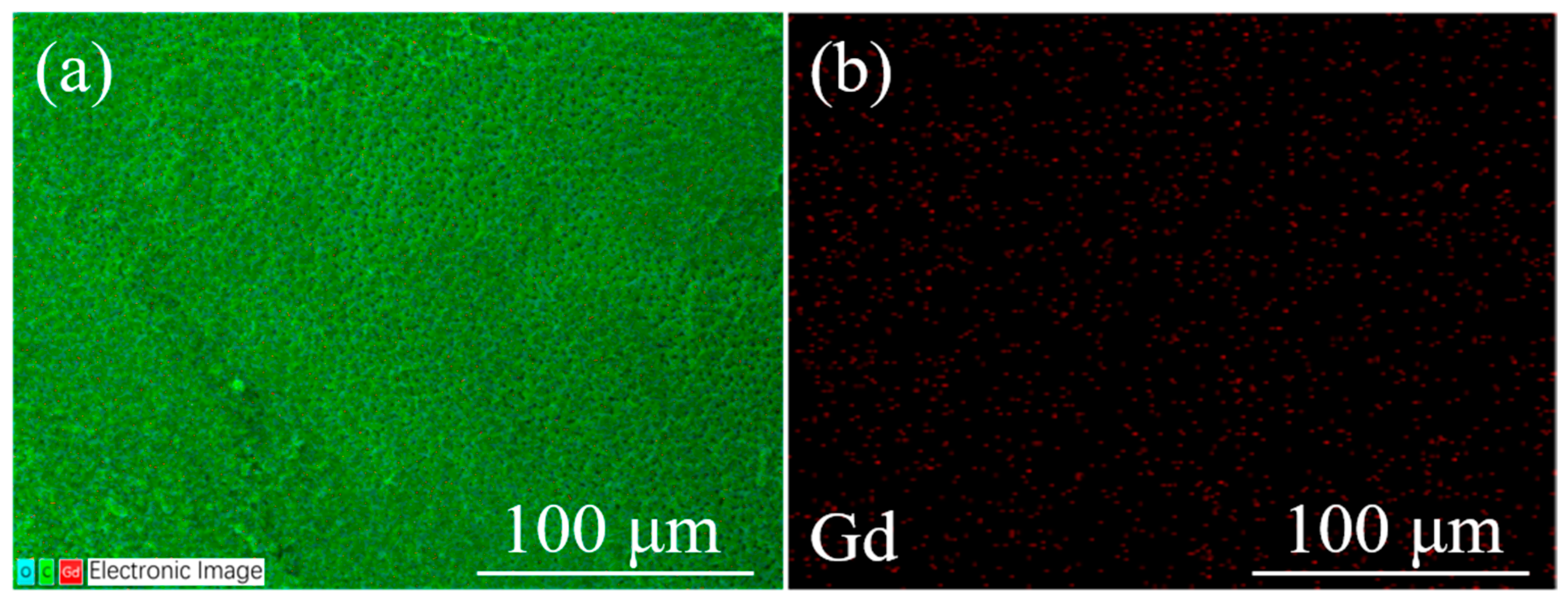 Molecules 29 01126 g008