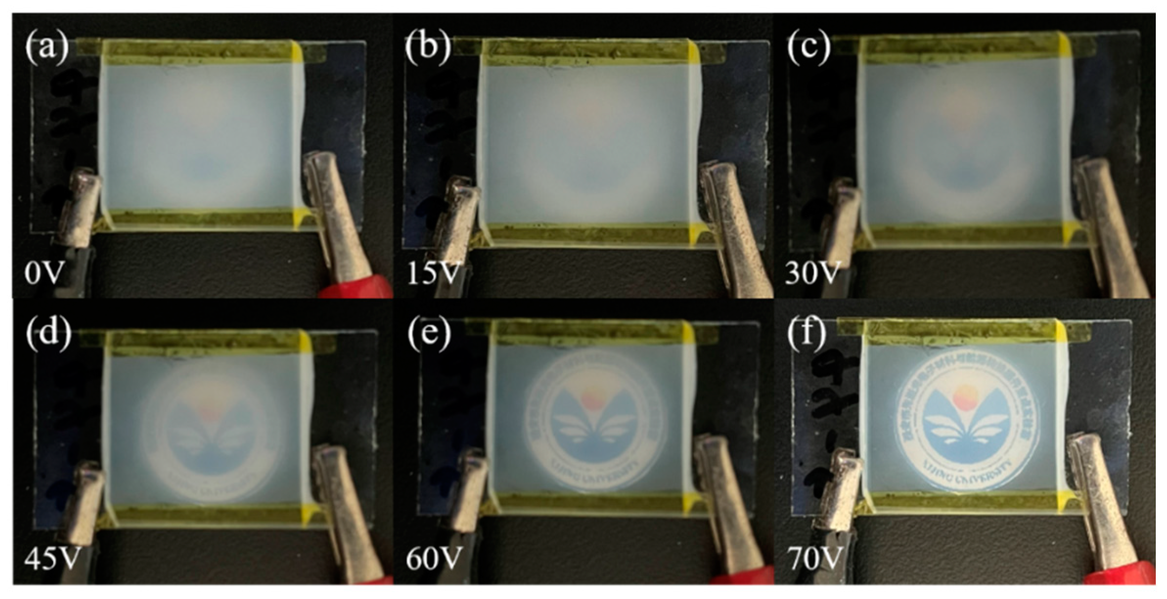 Molecules 29 01126 g009
