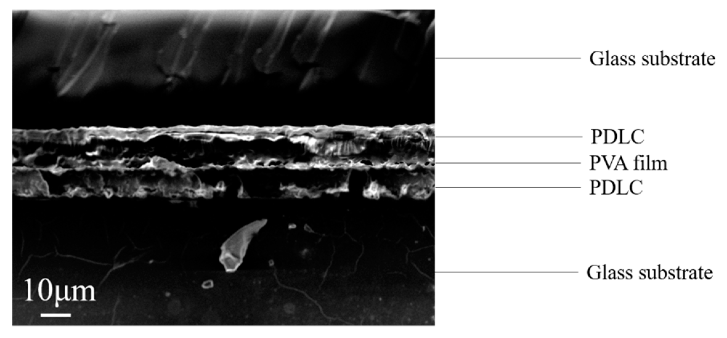 Molecules 29 01126 g010