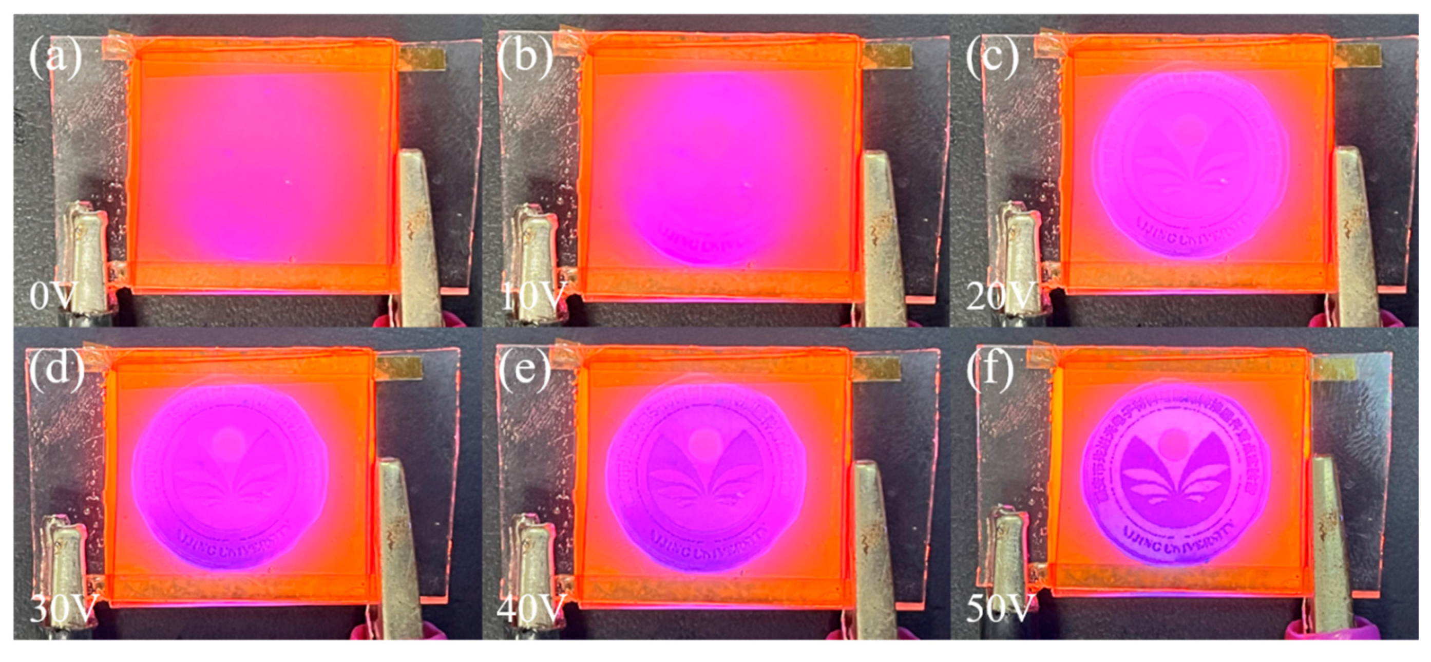 Molecules 29 01126 g014