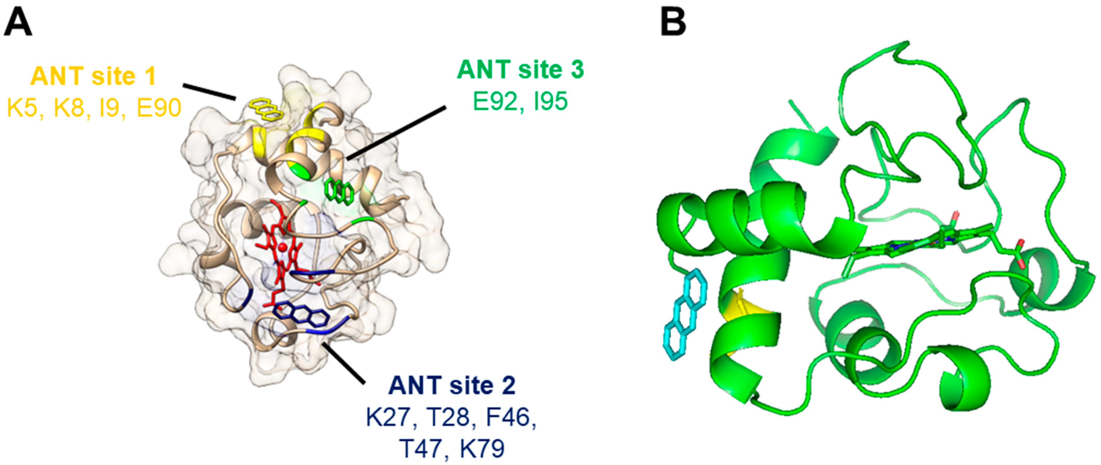 Molecules 29 01129 g006 Molecules 29 01129 g006