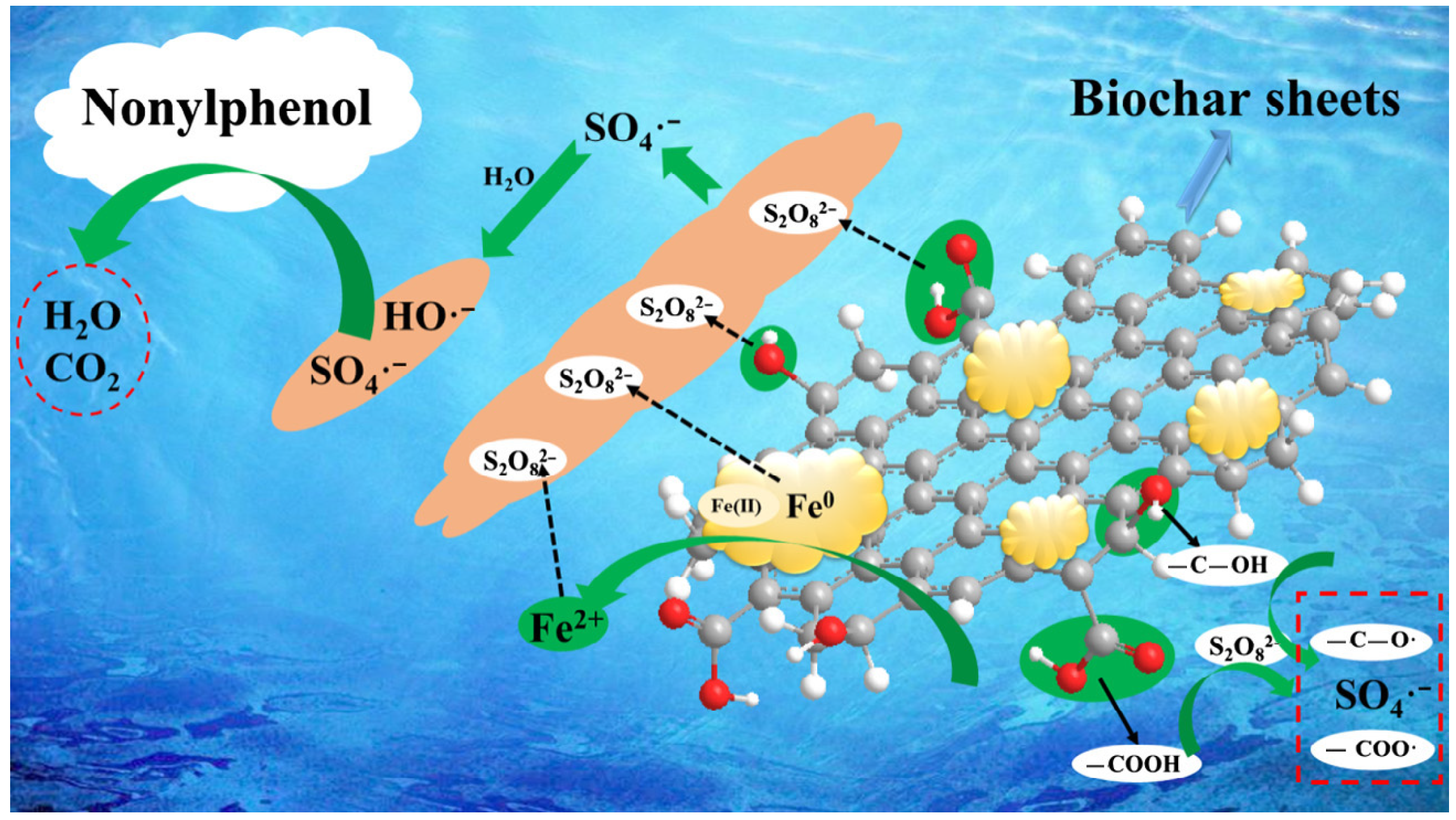 Molecules 29 01130 g003