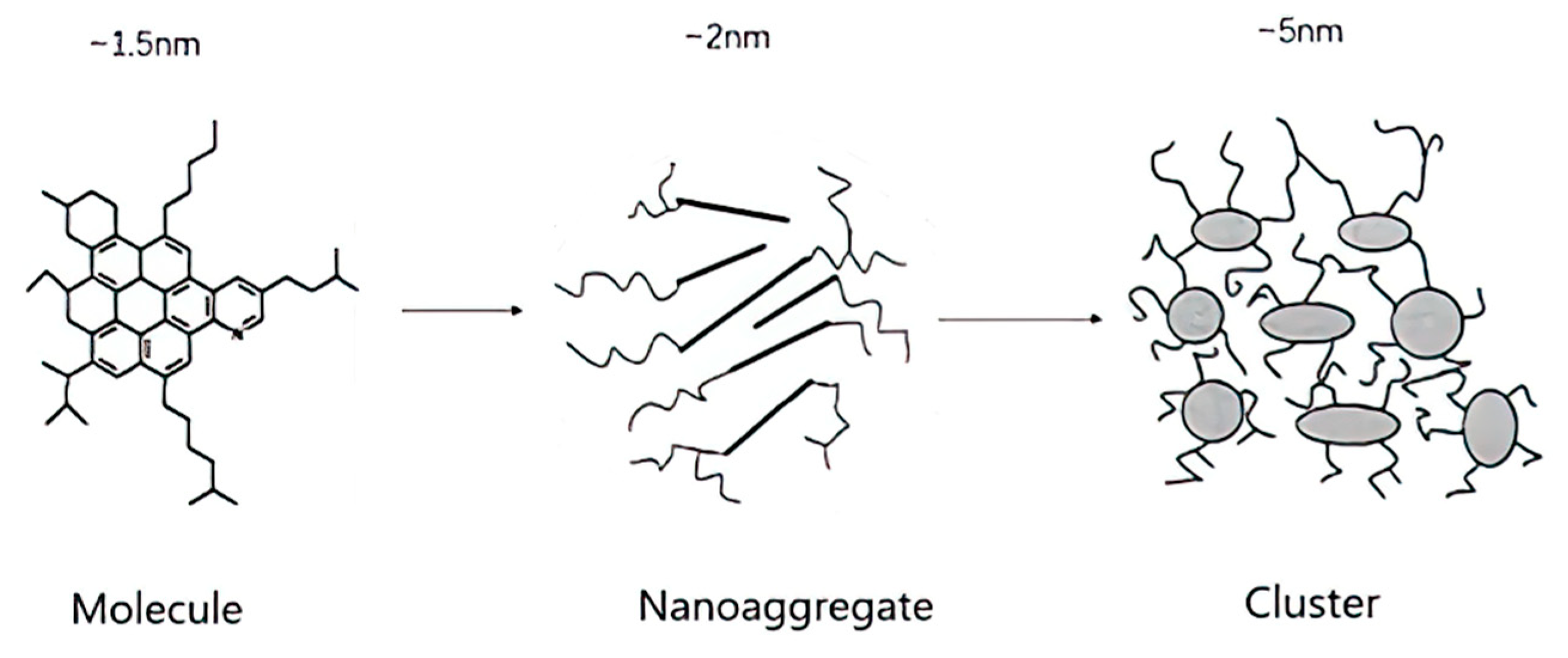 Molecules 29 01135 g005