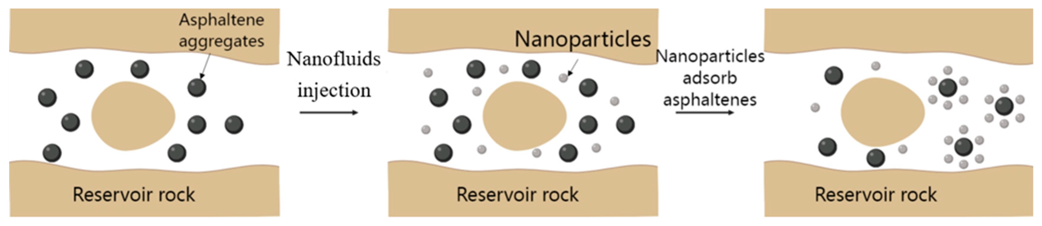 Molecules 29 01135 g006