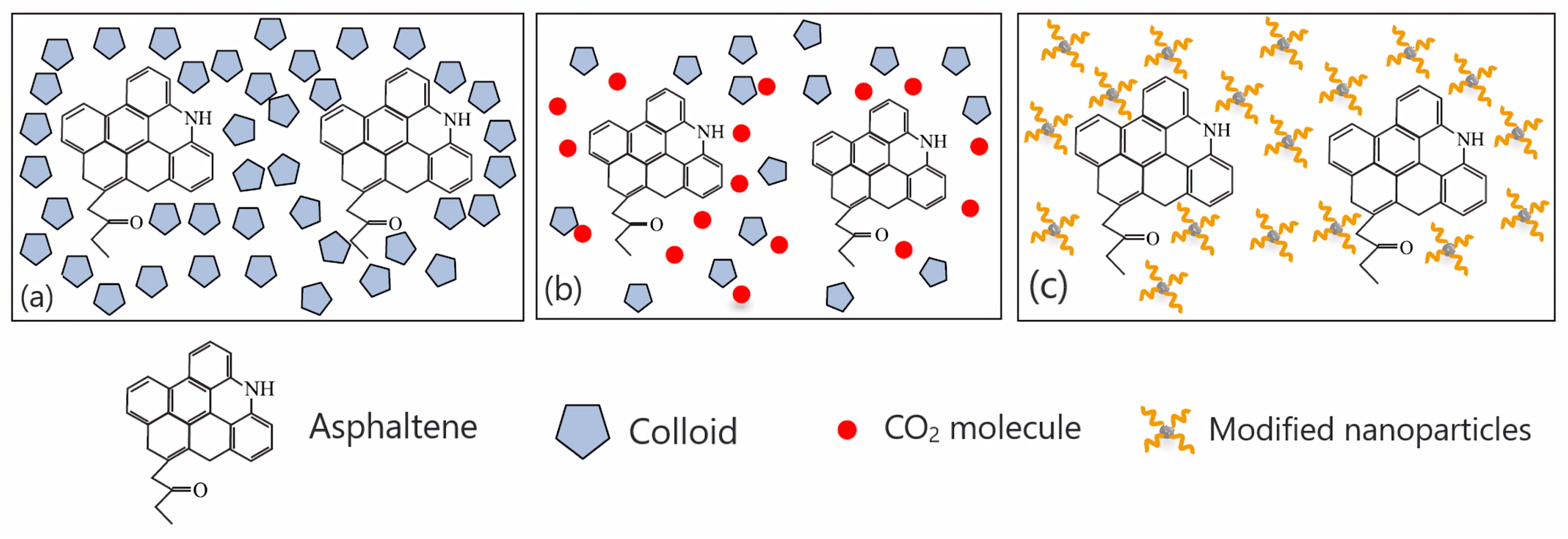 Molecules 29 01135 g010
