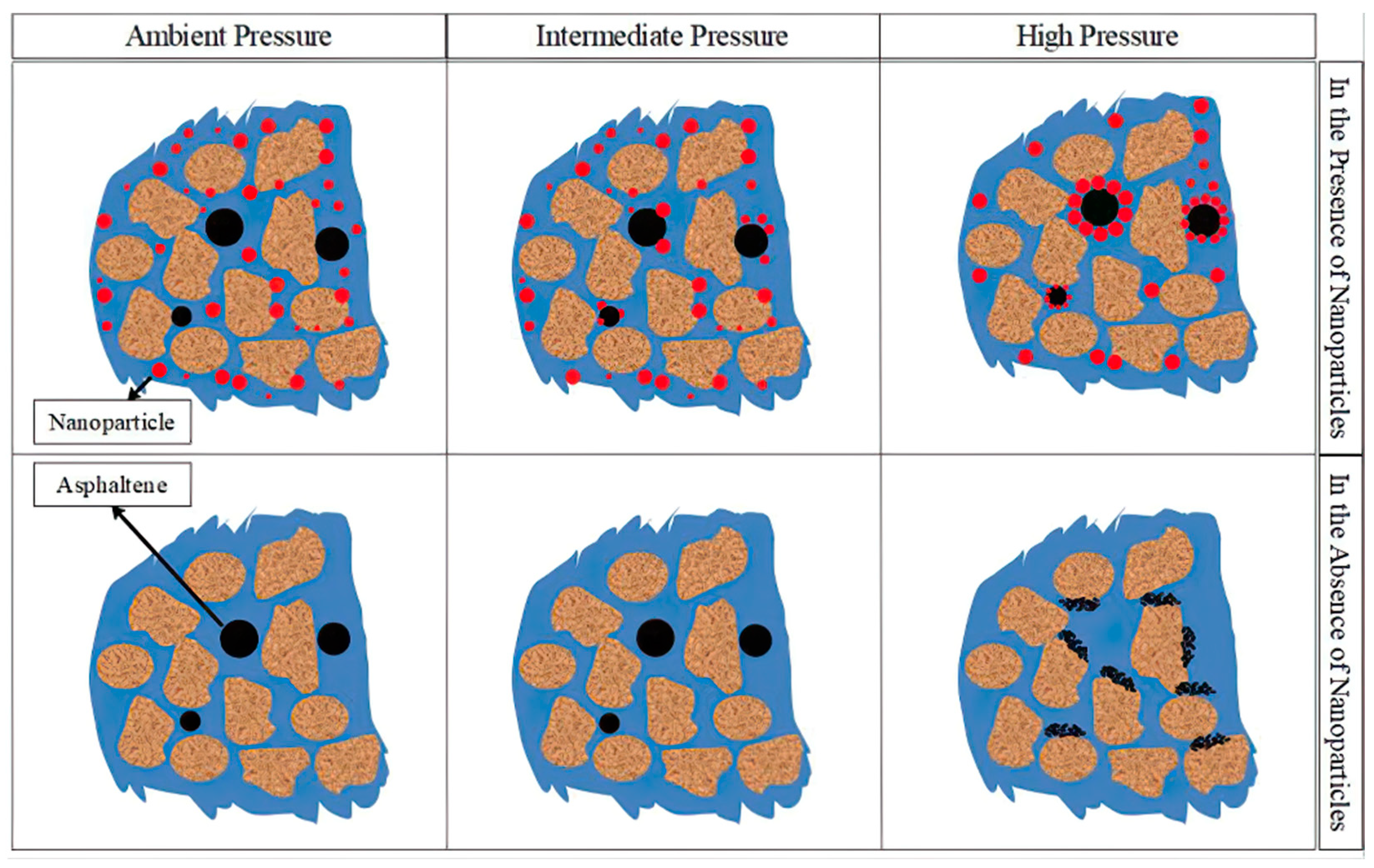 Molecules 29 01135 g011