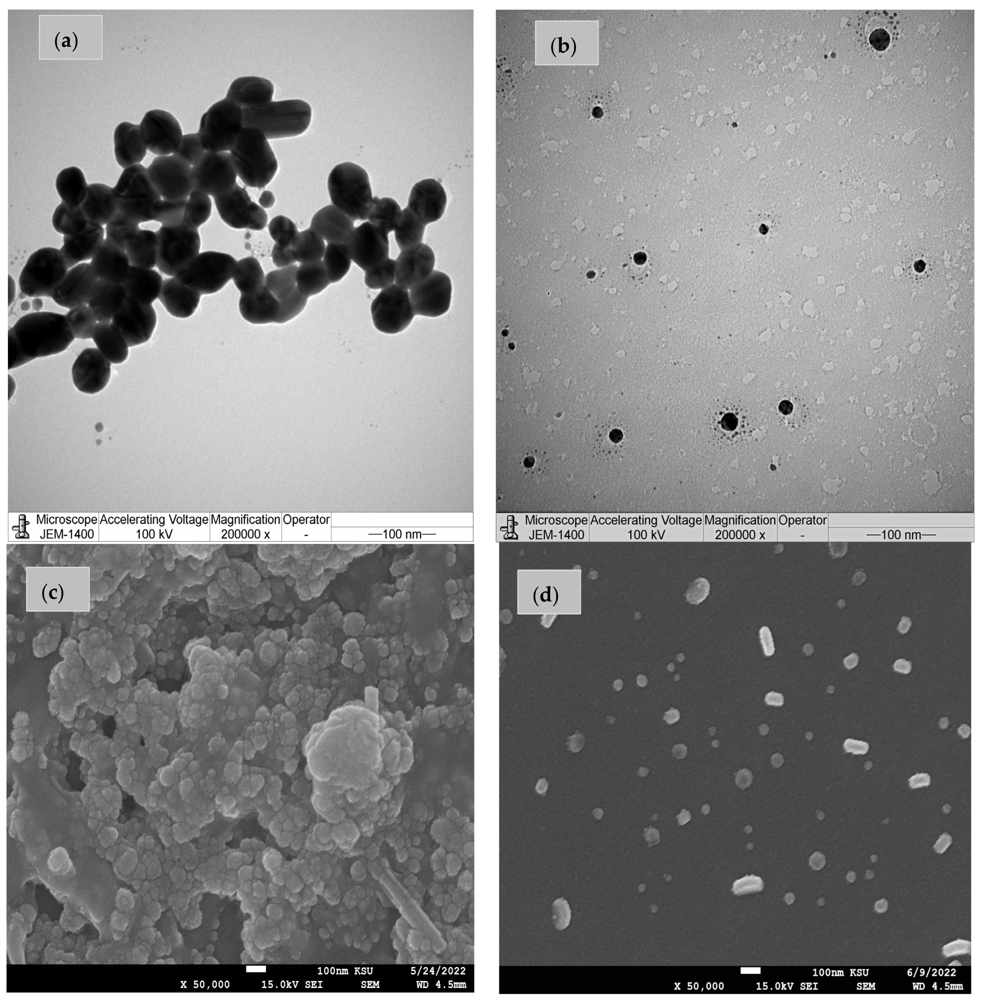 Molecules 29 01139 g003