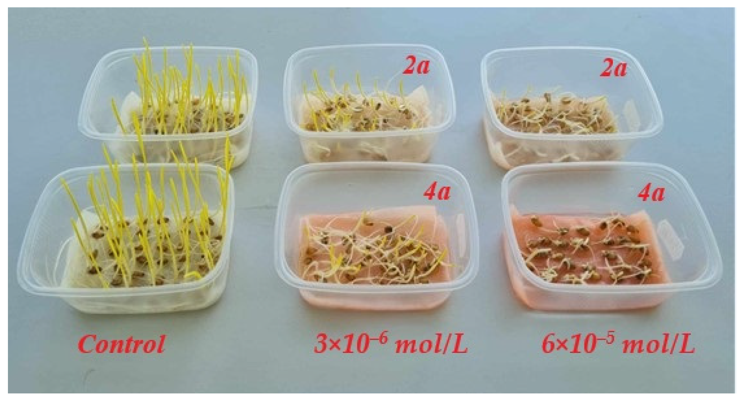 Molecules 29 01143 g005