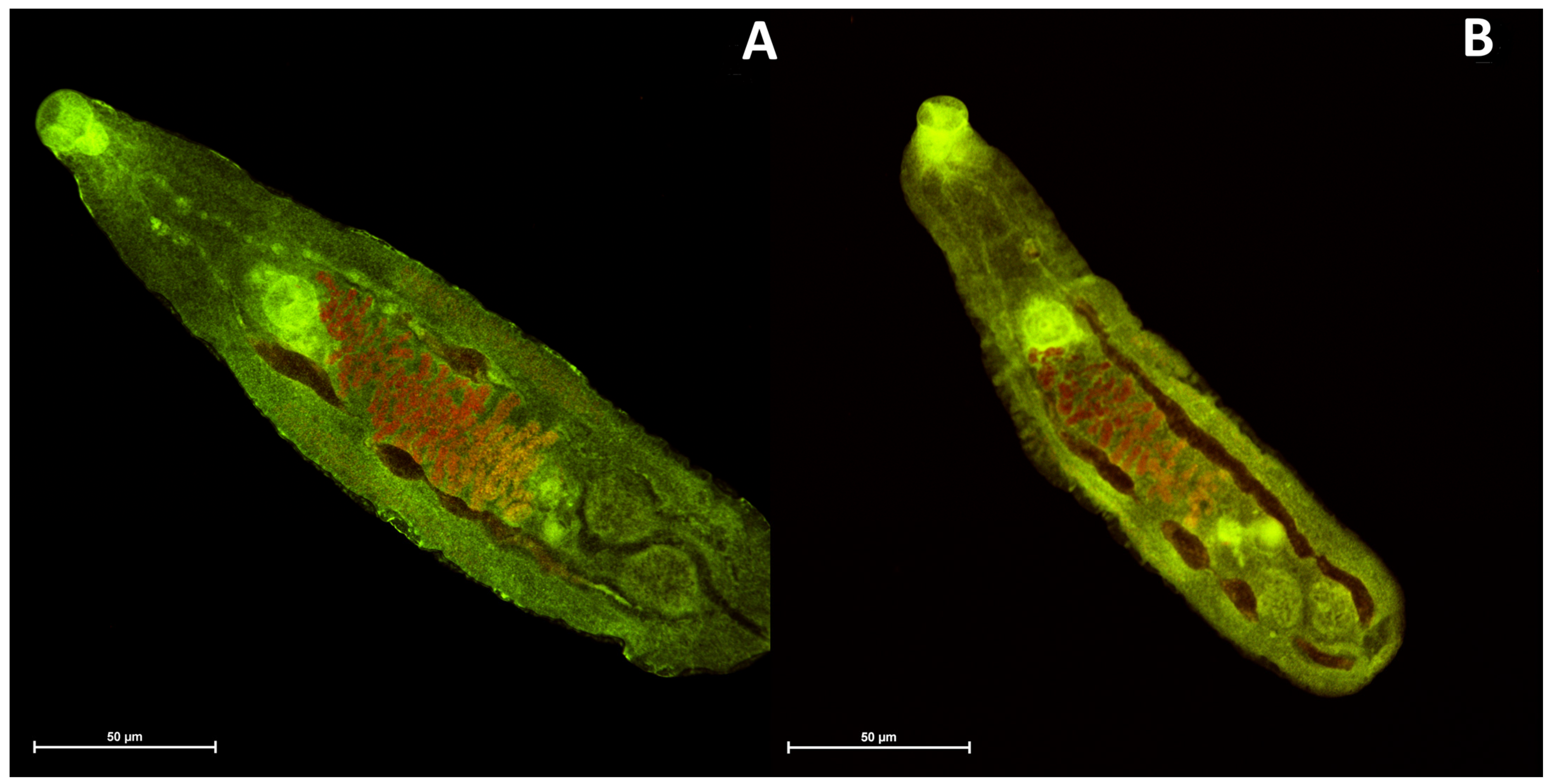 Molecules 29 01143 g006