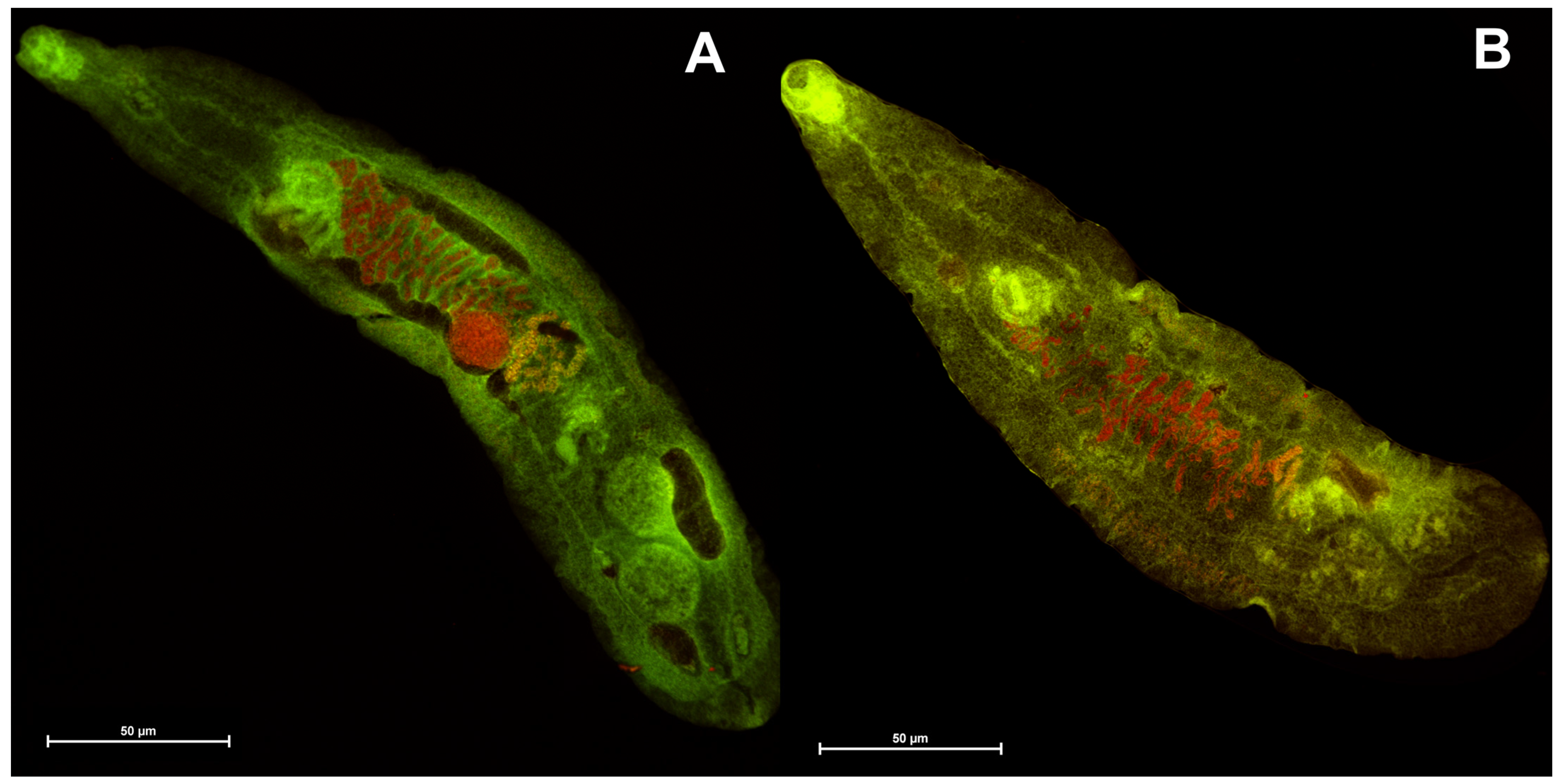 Molecules 29 01143 g007