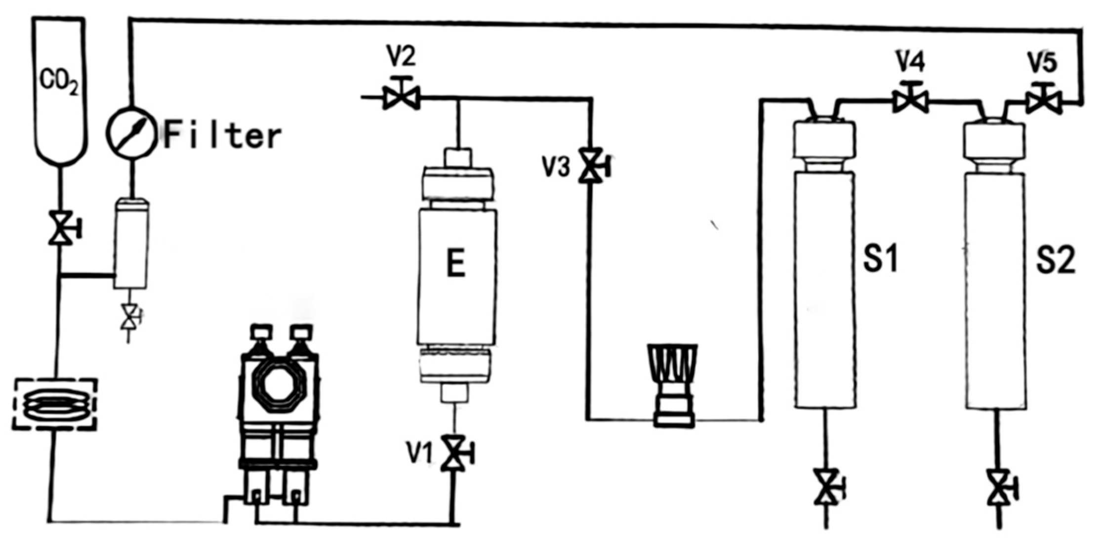 Molecules 29 01147 g004