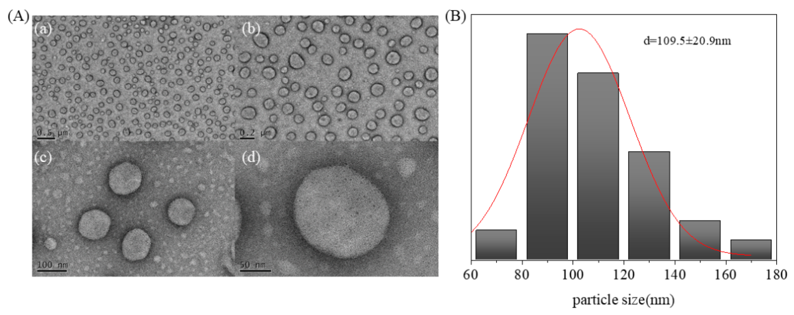 Molecules 29 01148 g004