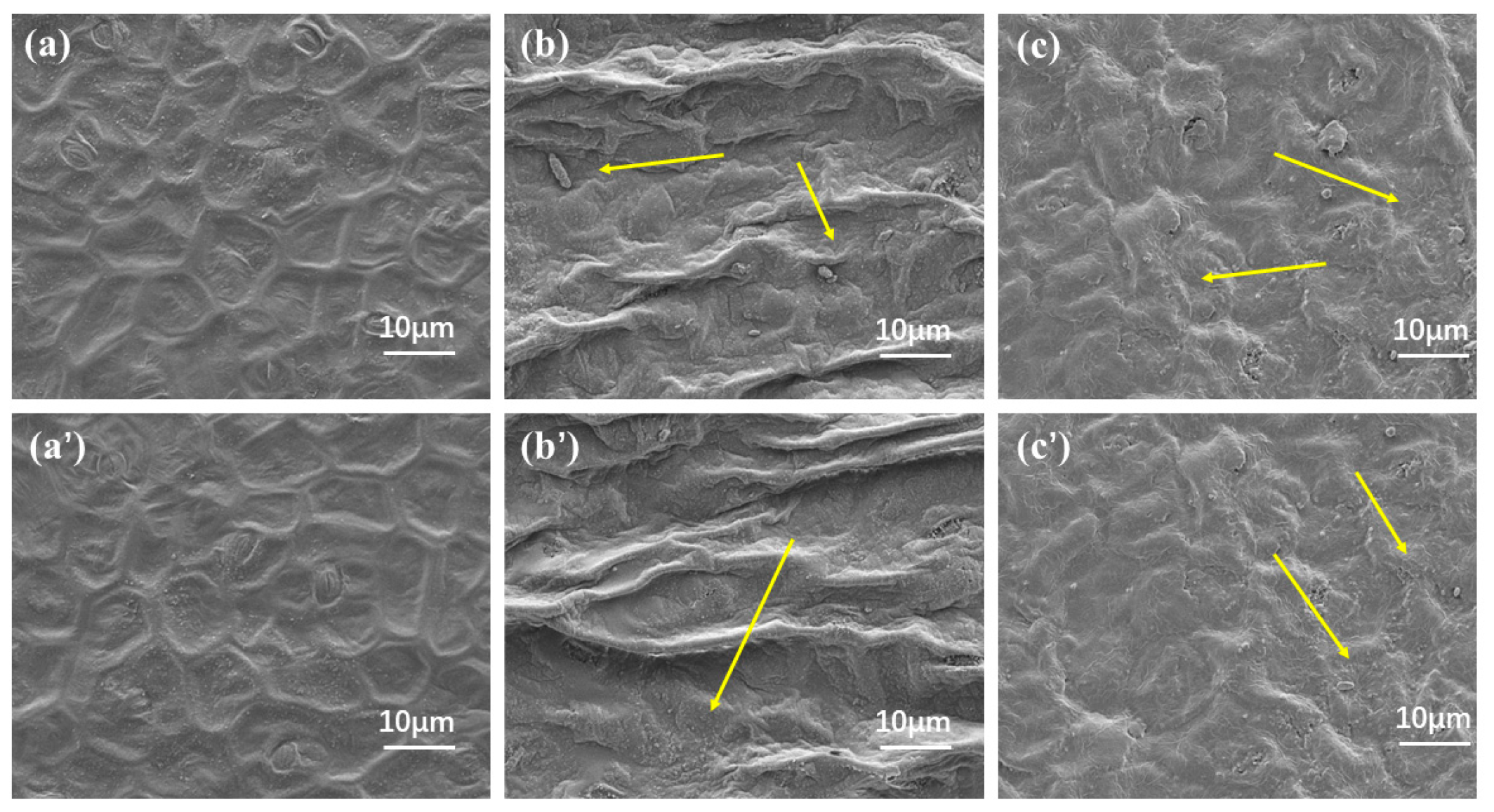 Molecules 29 01148 g008