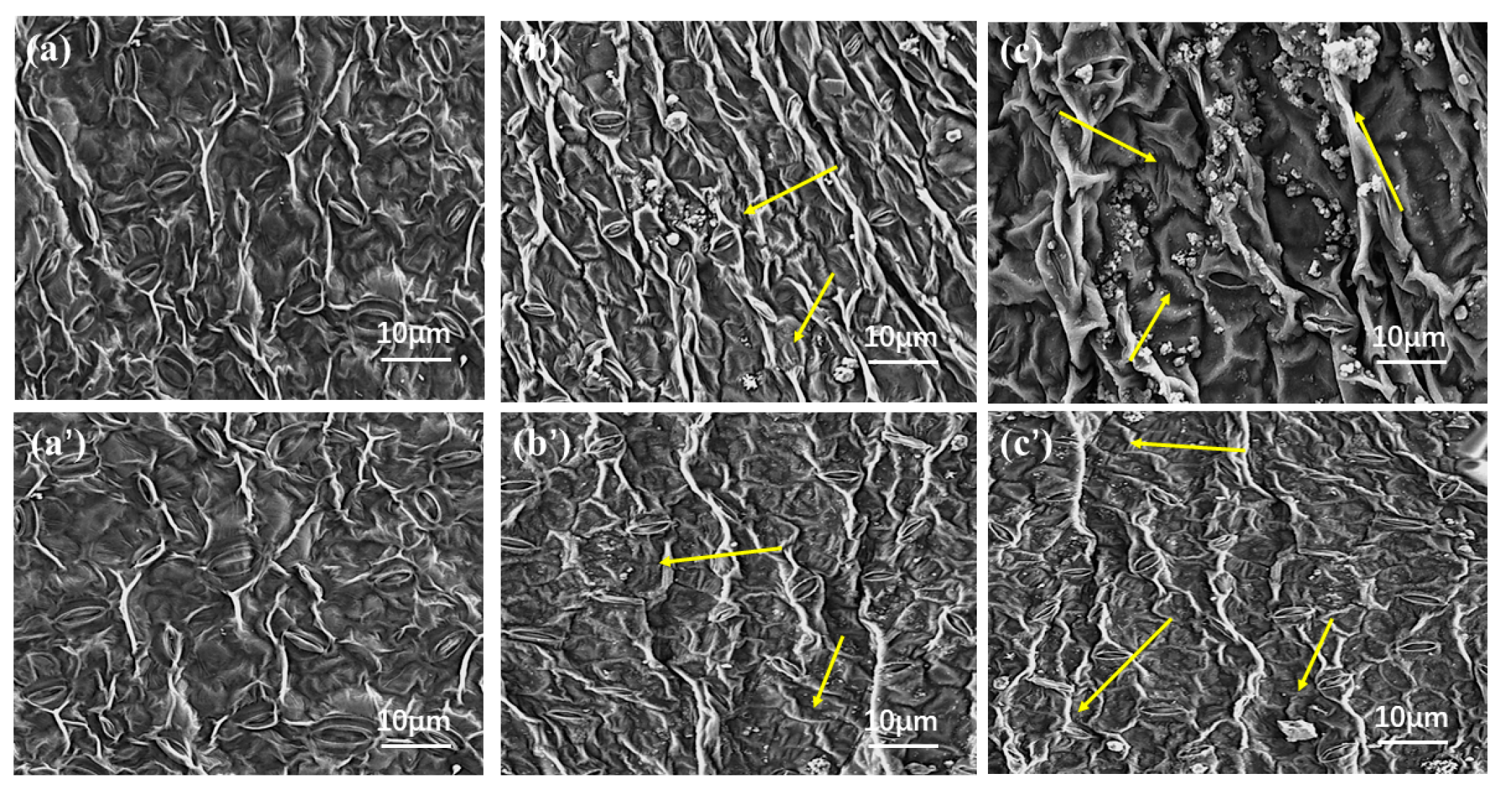 Molecules 29 01148 g009