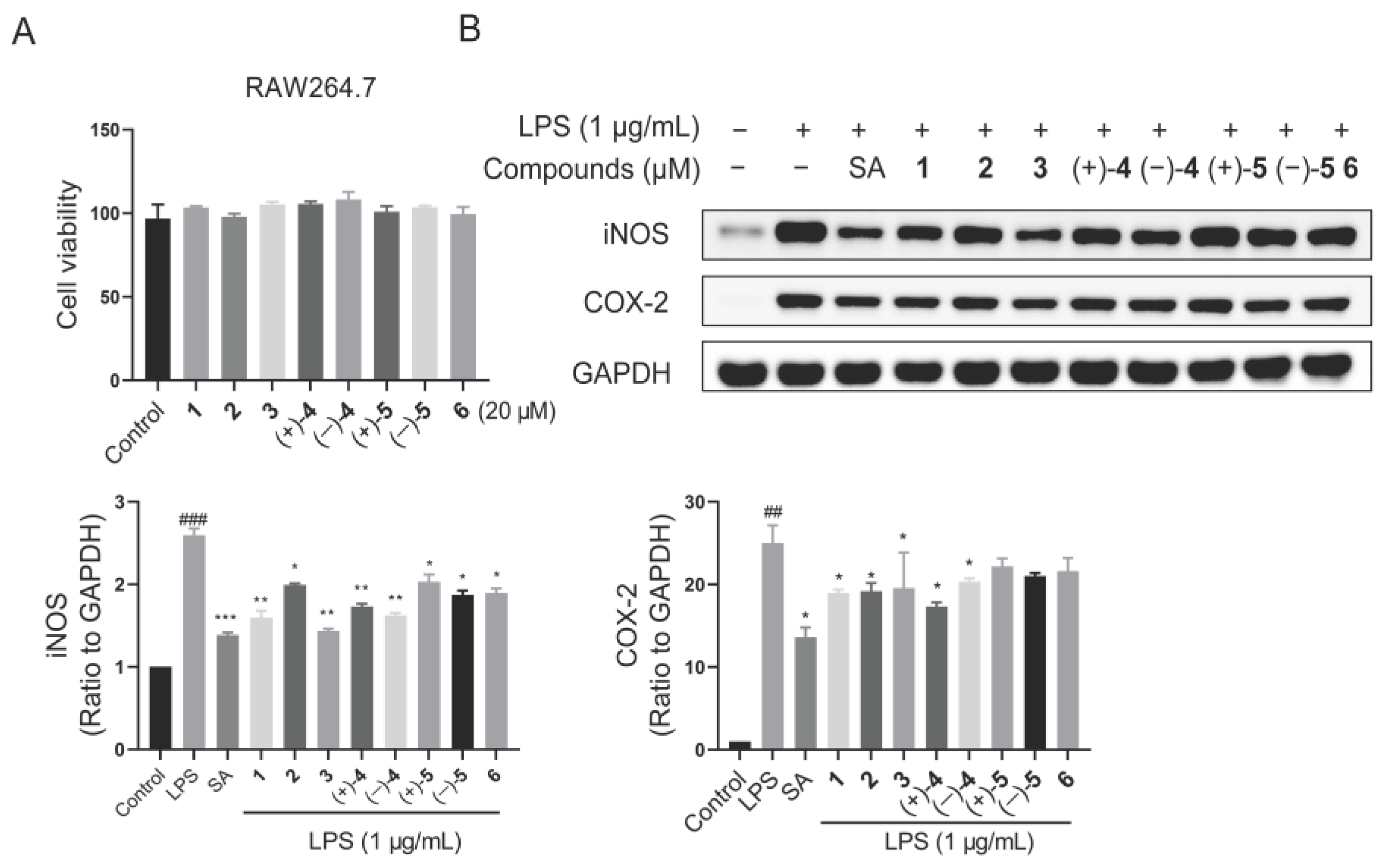 Molecules 29 01149 g005