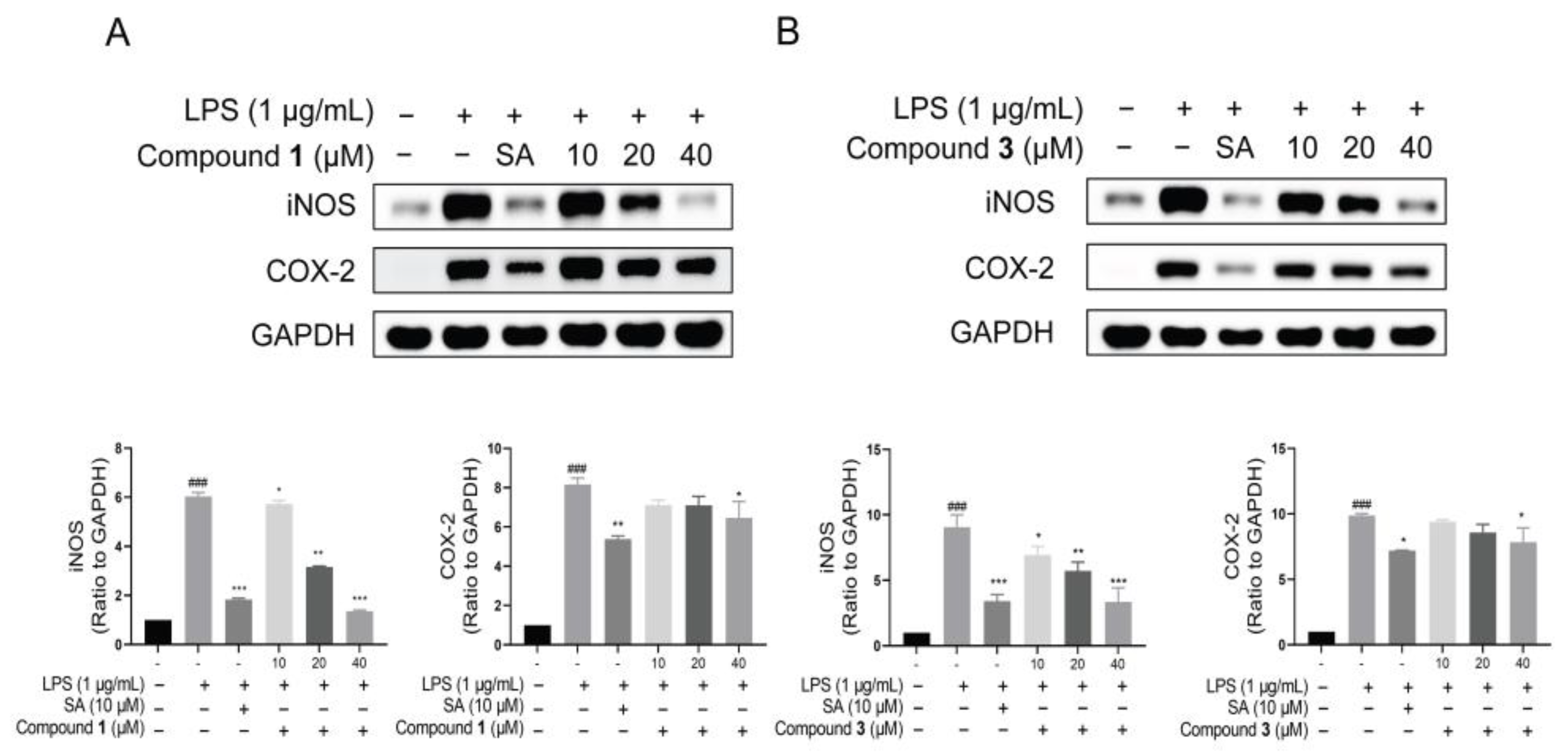 Molecules 29 01149 g006