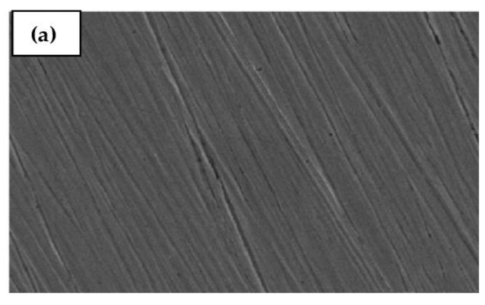 Molecules 29 01157 g008a