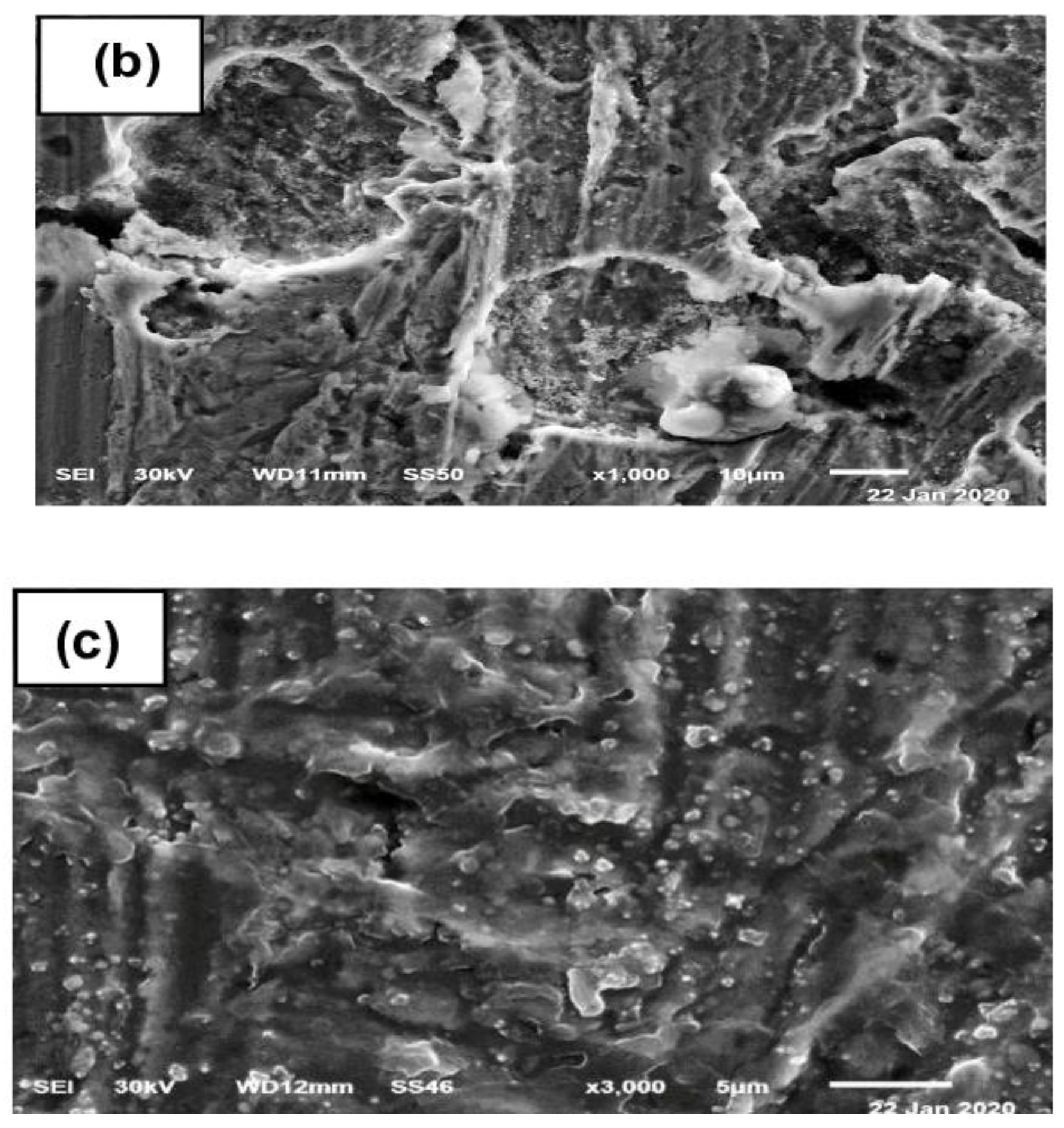 Molecules 29 01157 g008b