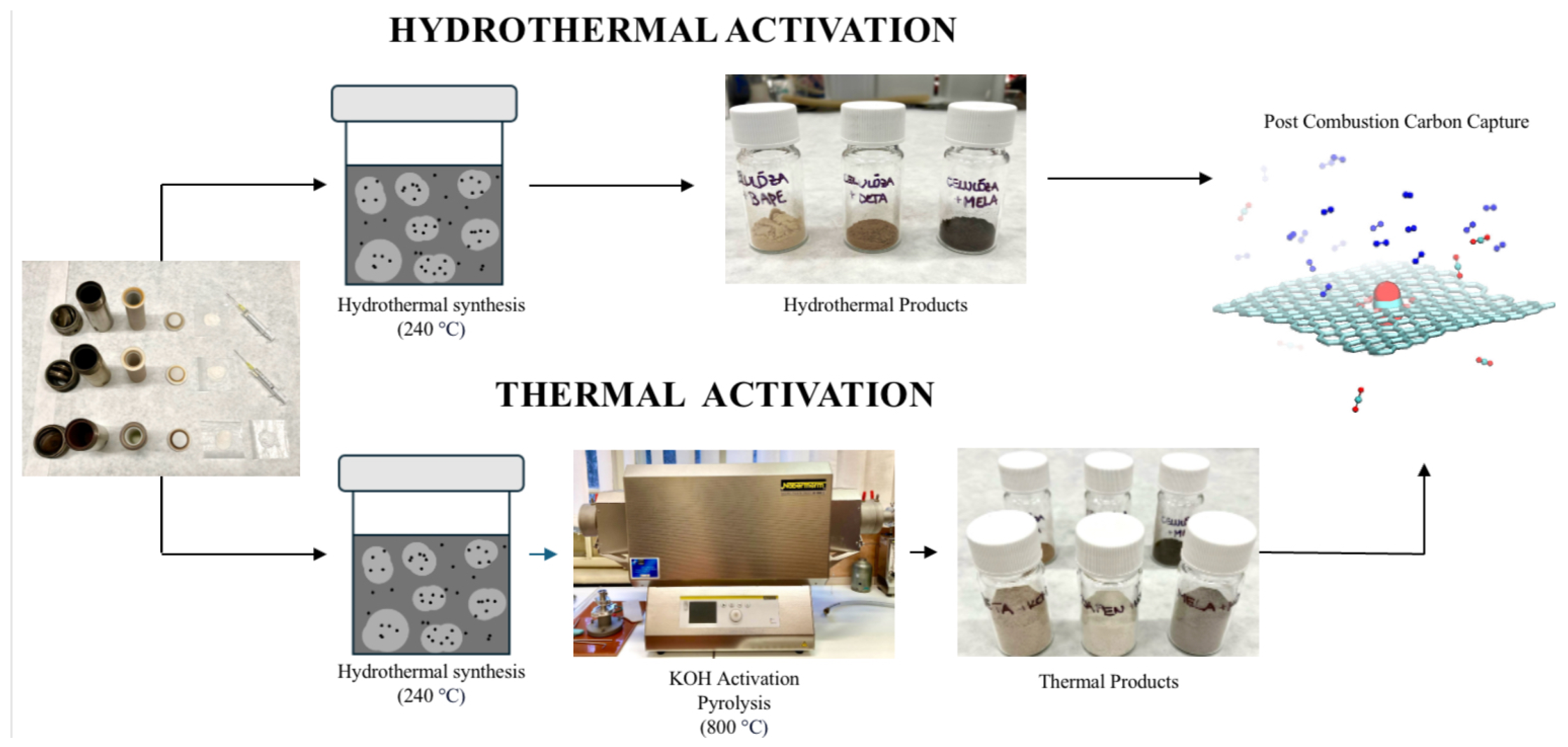 Molecules 29 01158 g001
