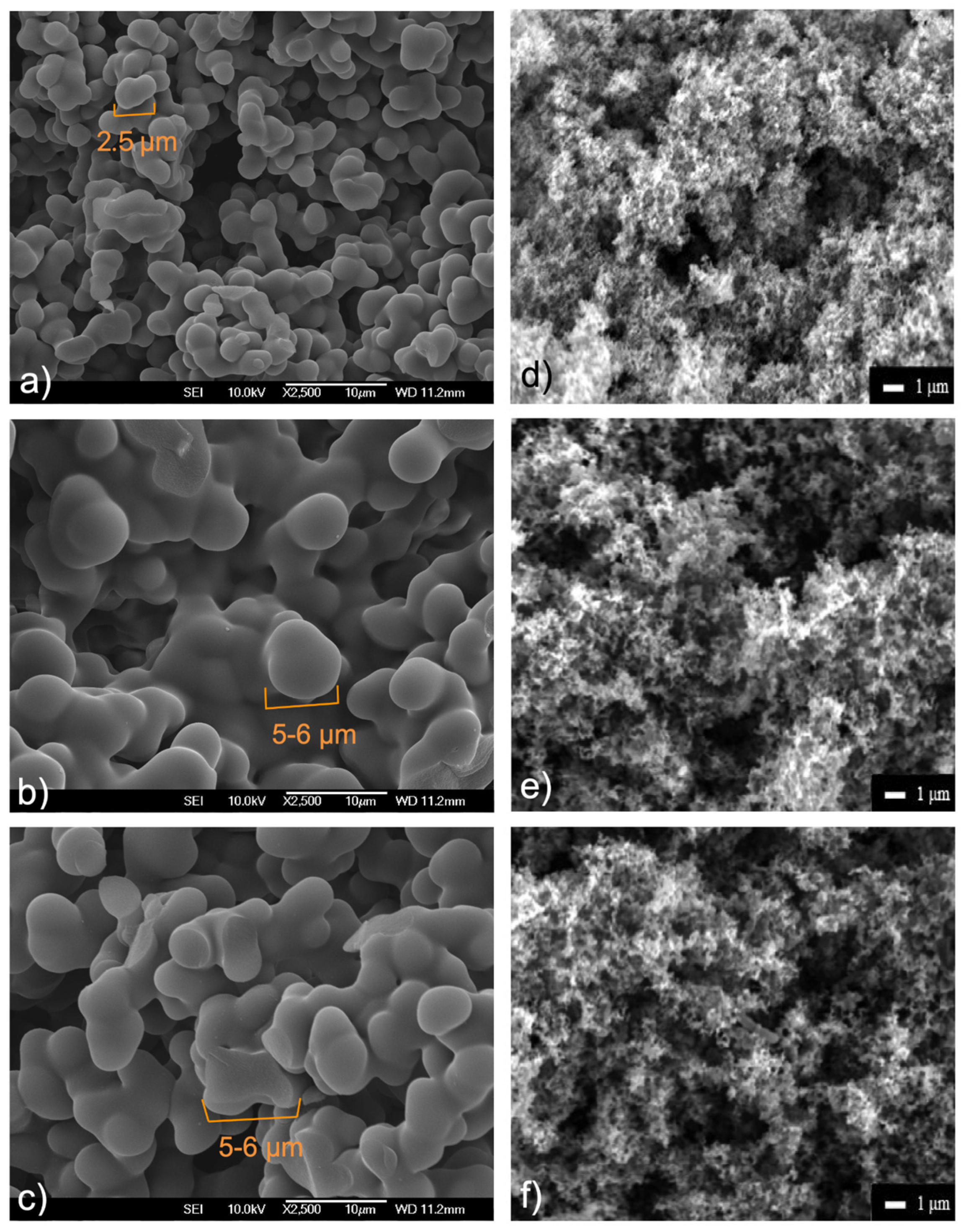 Molecules 29 01158 g002