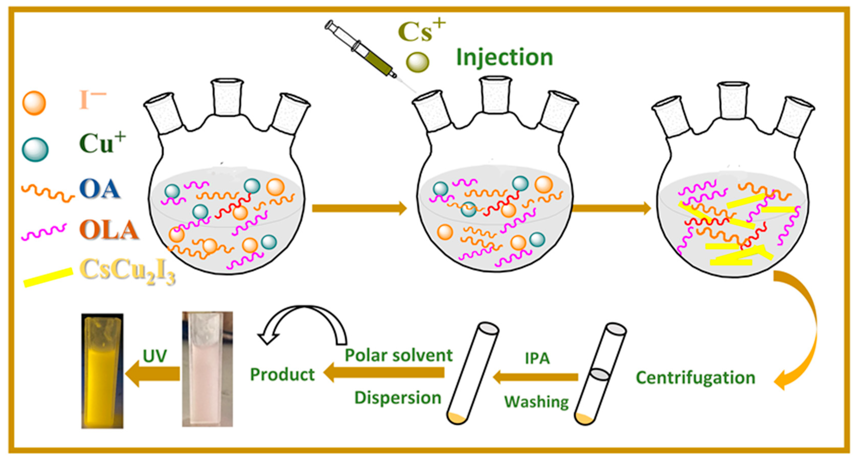 Molecules 29 01162 g001