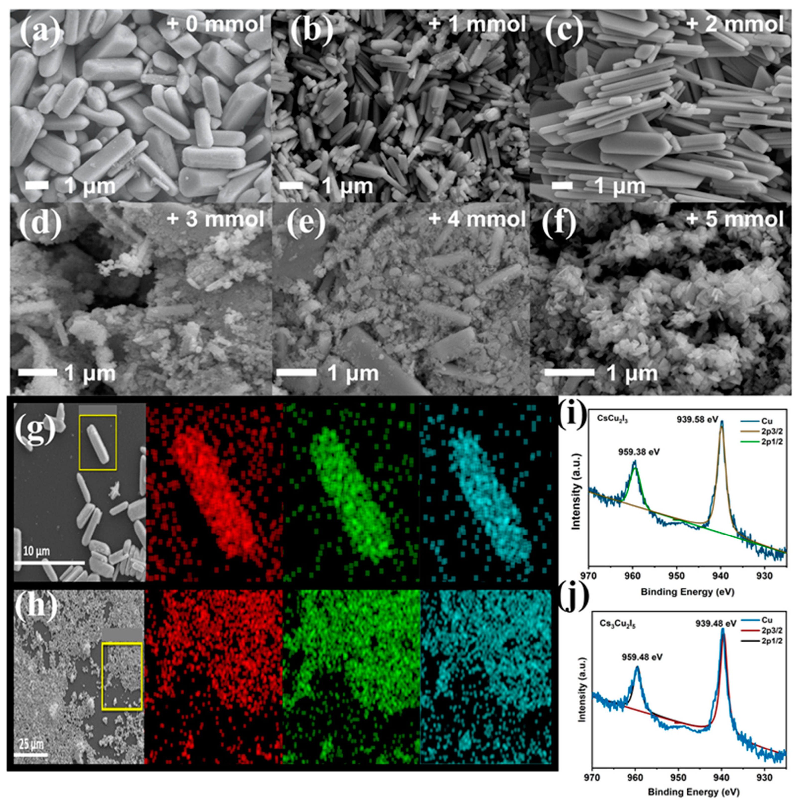 Molecules 29 01162 g003