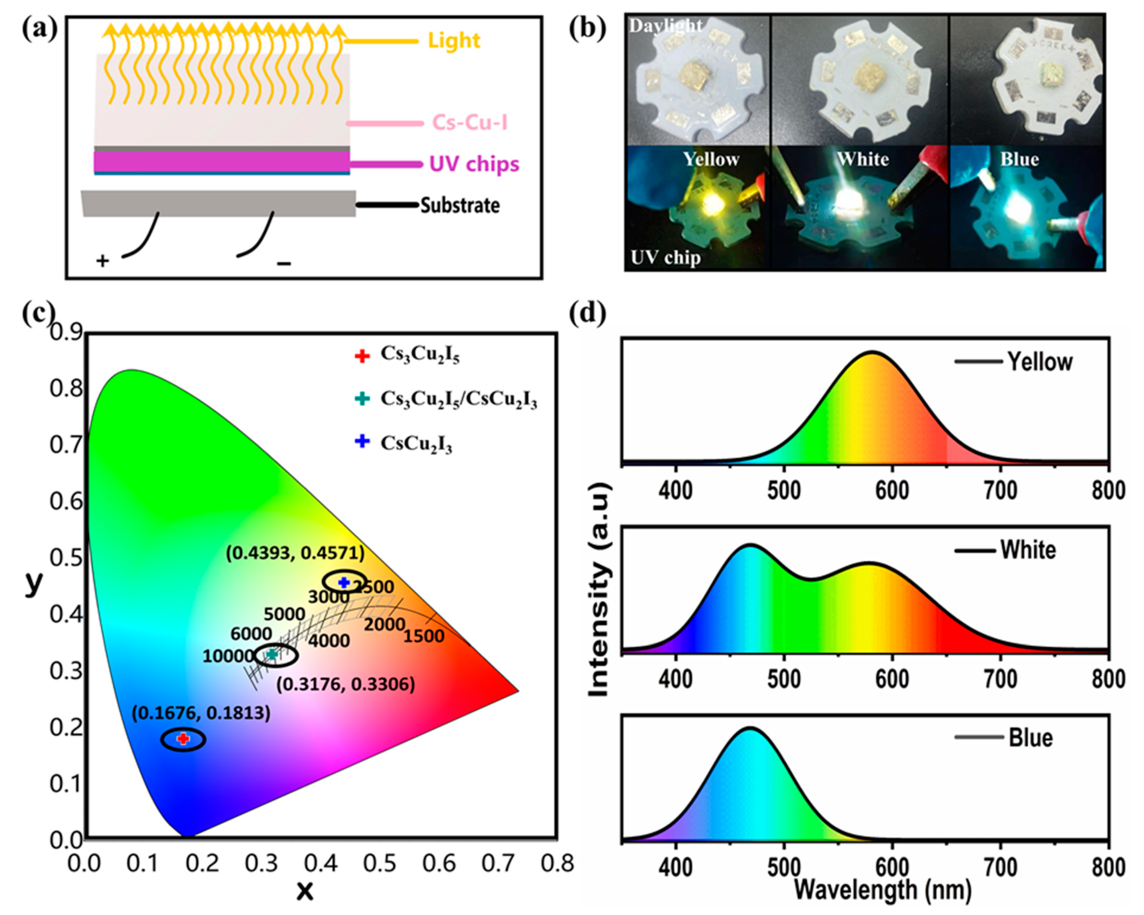 Molecules 29 01162 g006