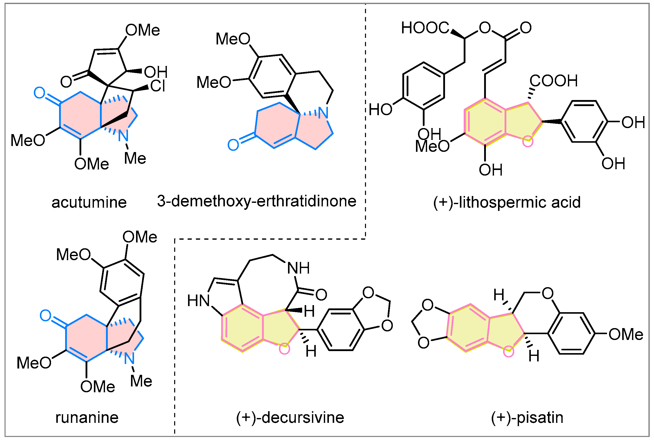 Molecules 29 01163 g001