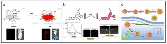 Molecules 29 01168 g002