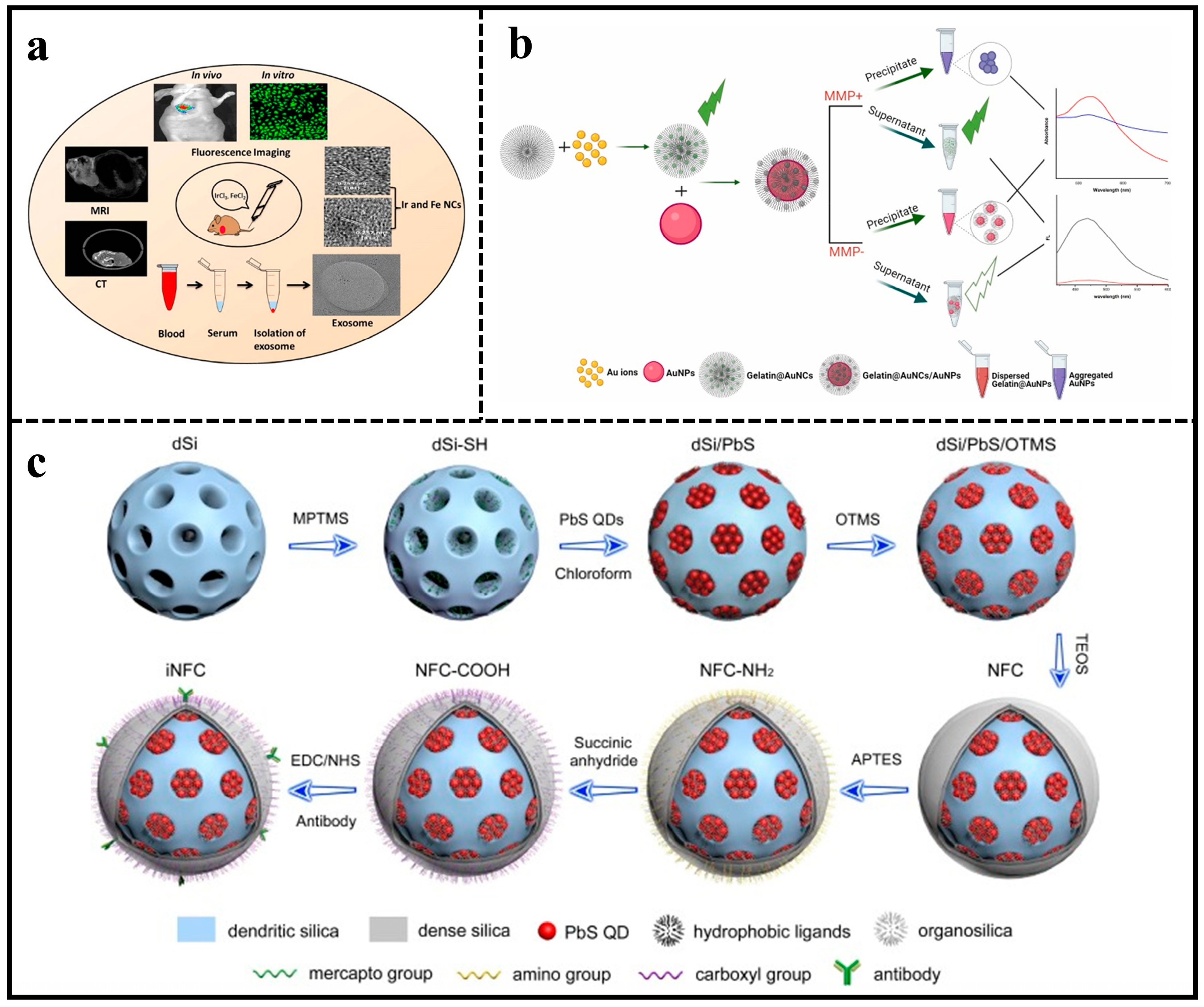 Molecules 29 01168 g003