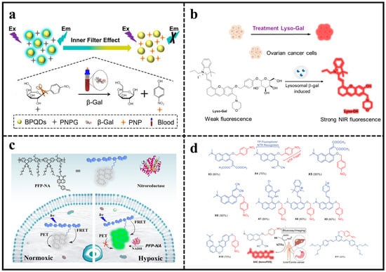 Molecules 29 01168 g004