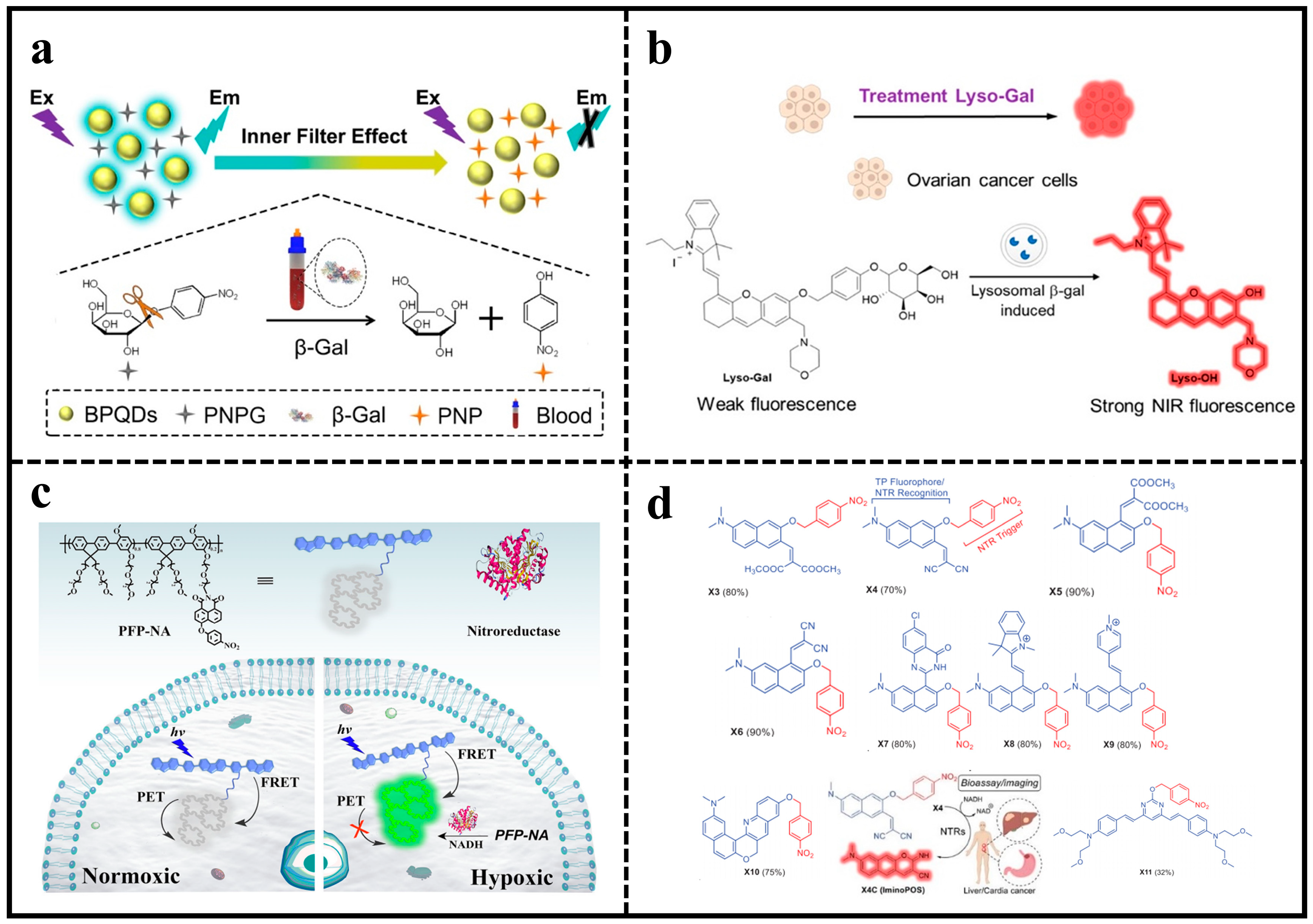 Molecules 29 01168 g004