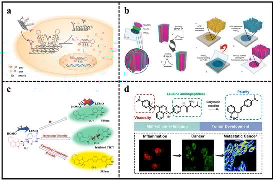 Molecules 29 01168 g006