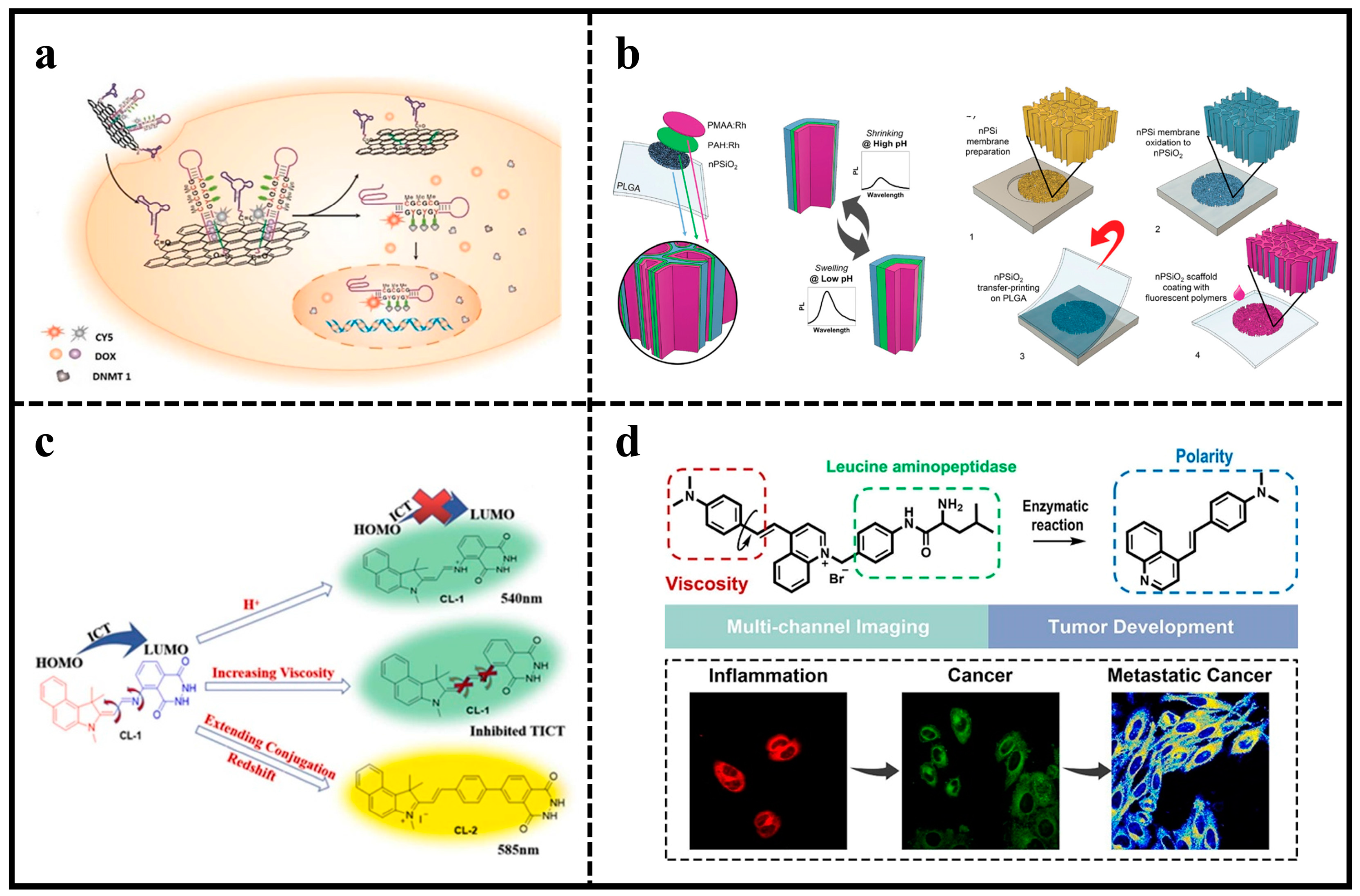 Molecules 29 01168 g006