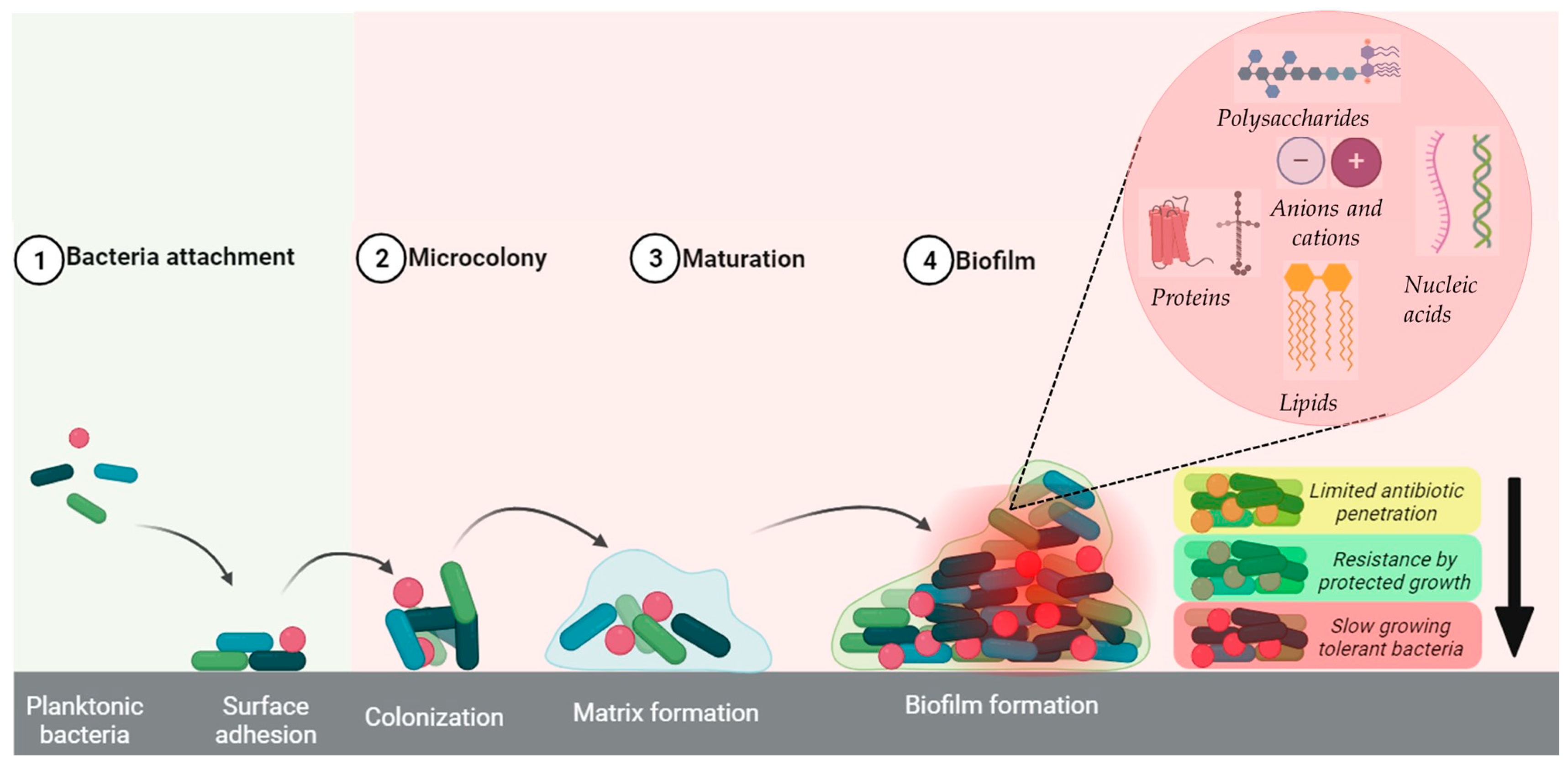 Molecules 29 01172 g001