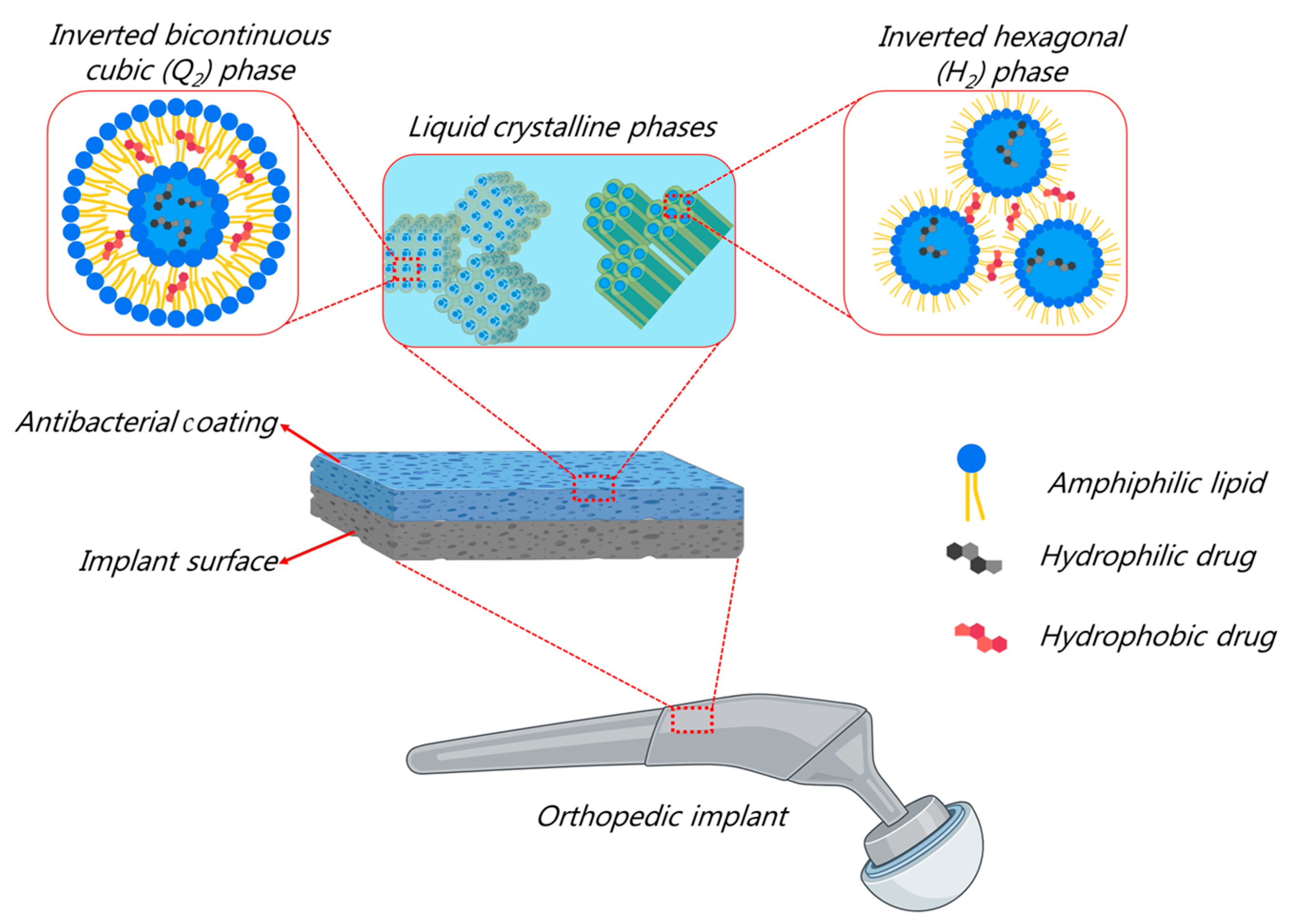 Molecules 29 01172 g003