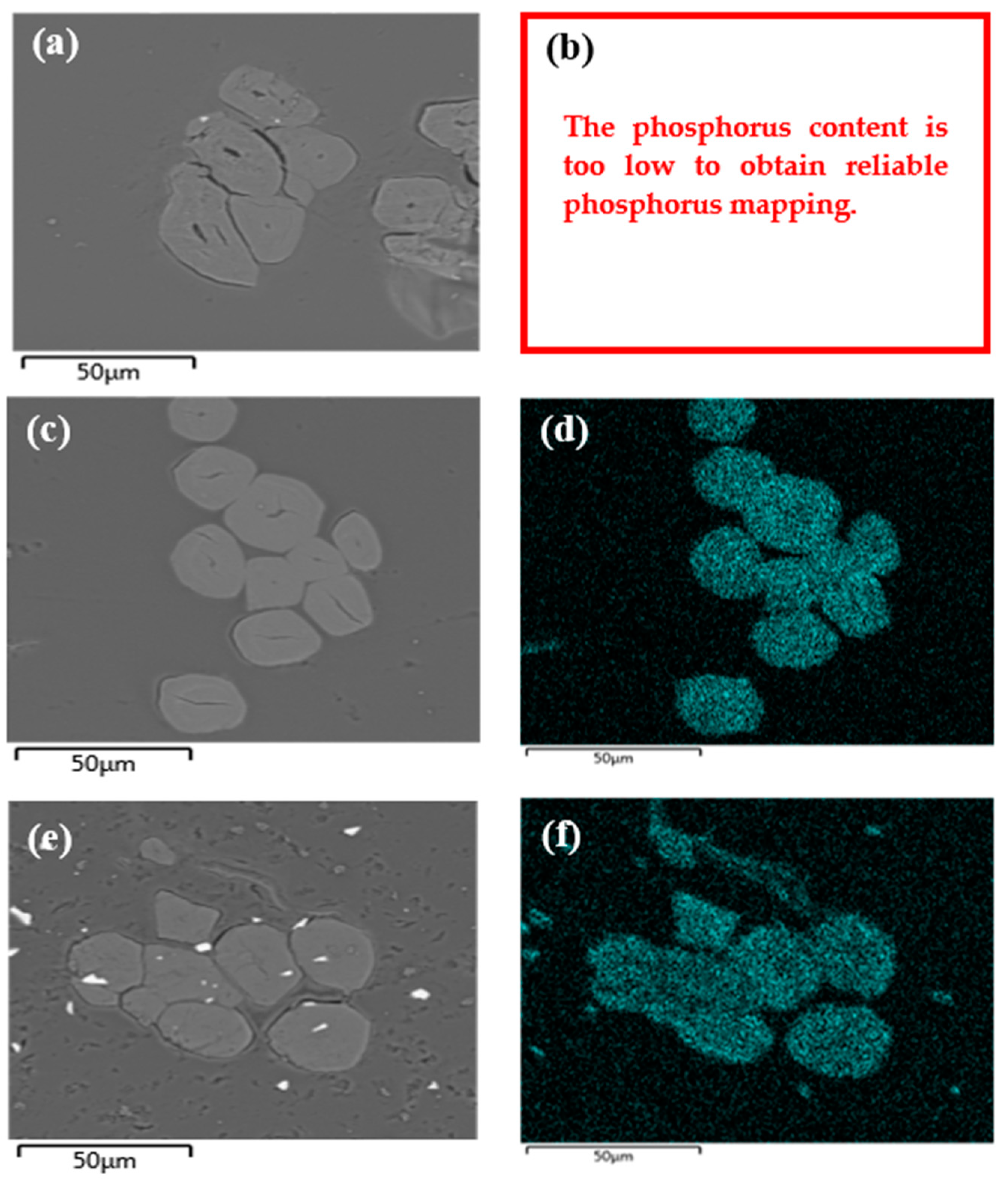 Molecules 29 01176 g005