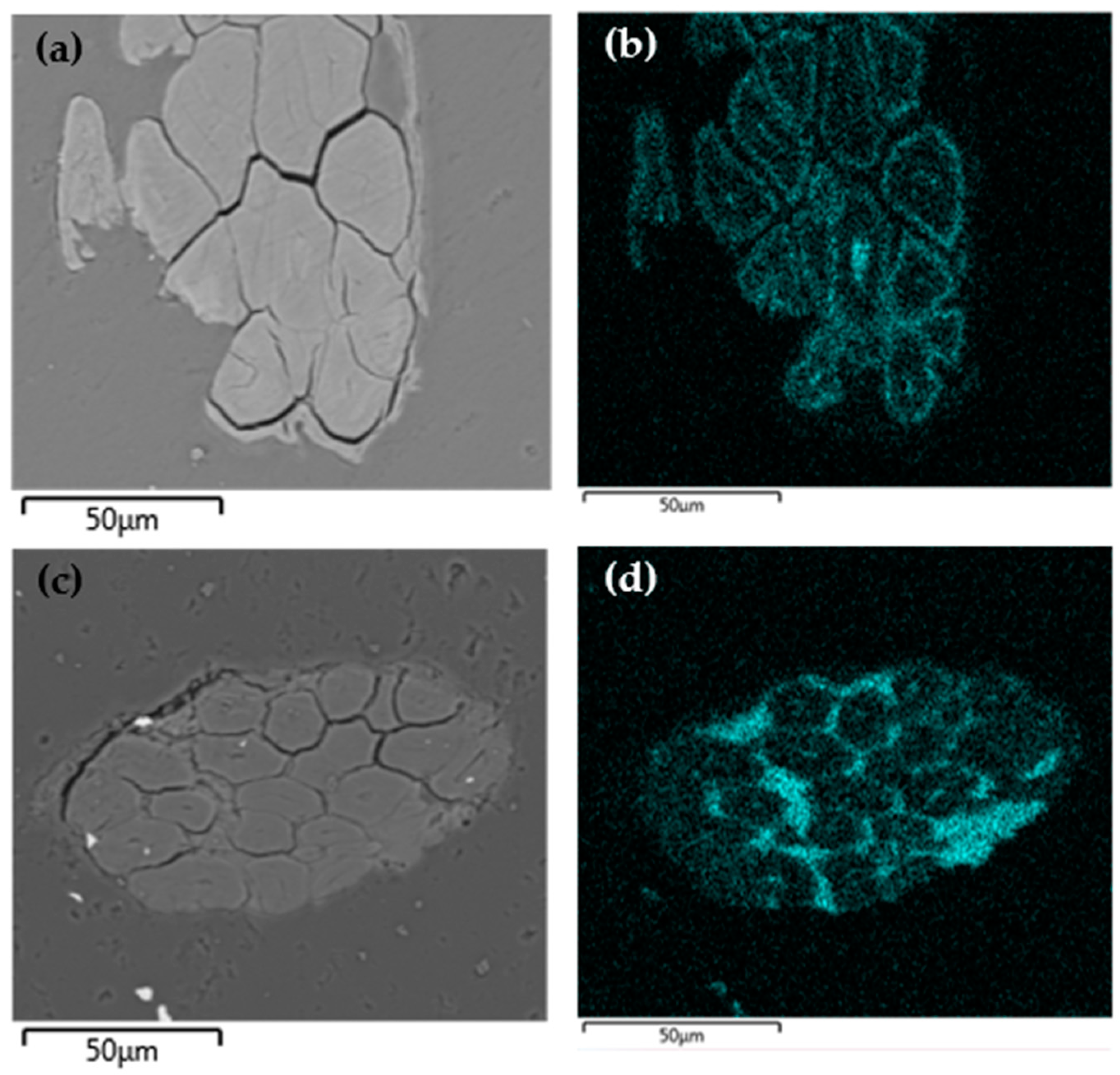 Molecules 29 01176 g007
