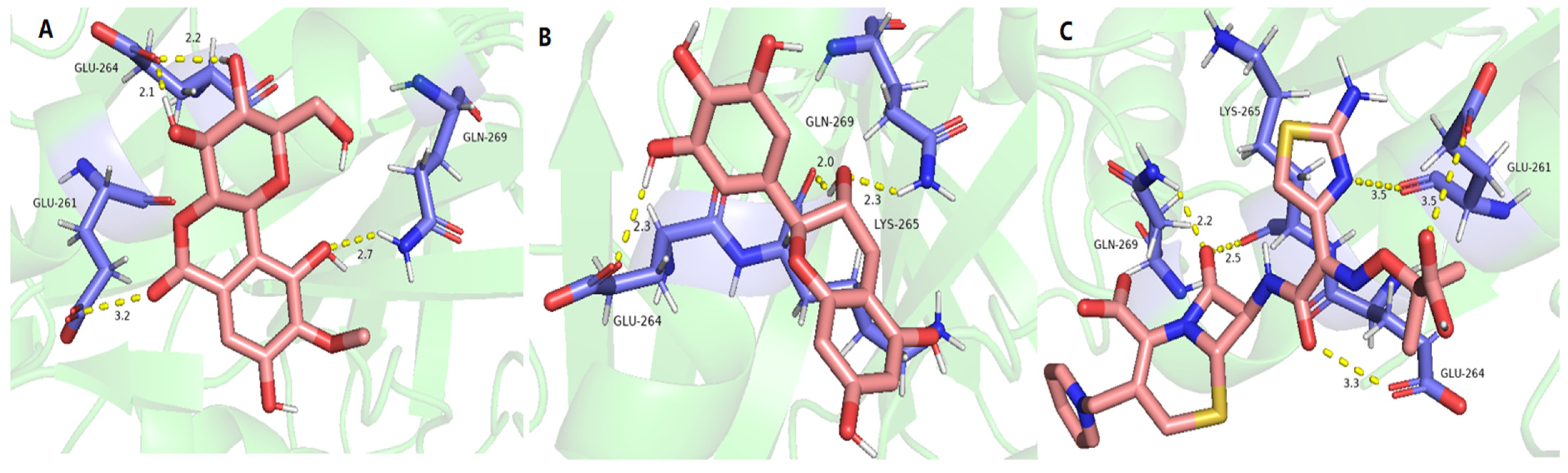 Molecules 29 01178 g008