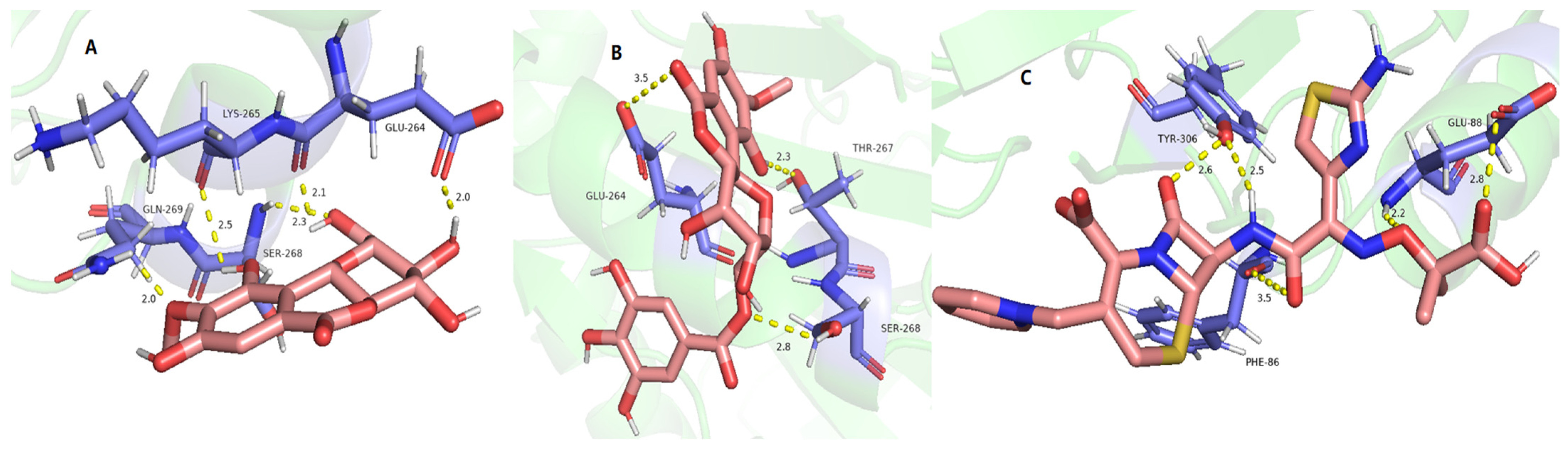 Molecules 29 01178 g009