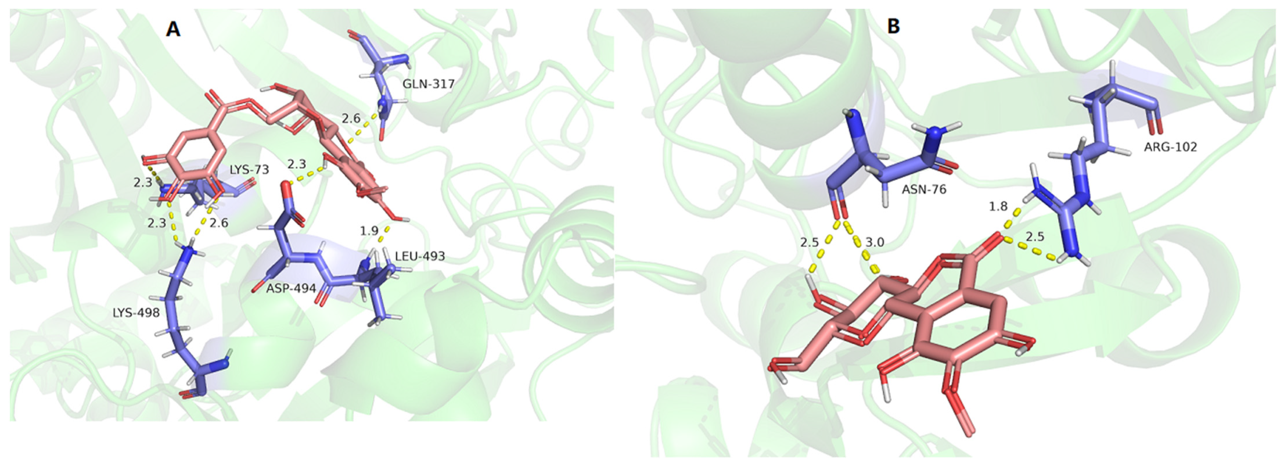 Molecules 29 01178 g013