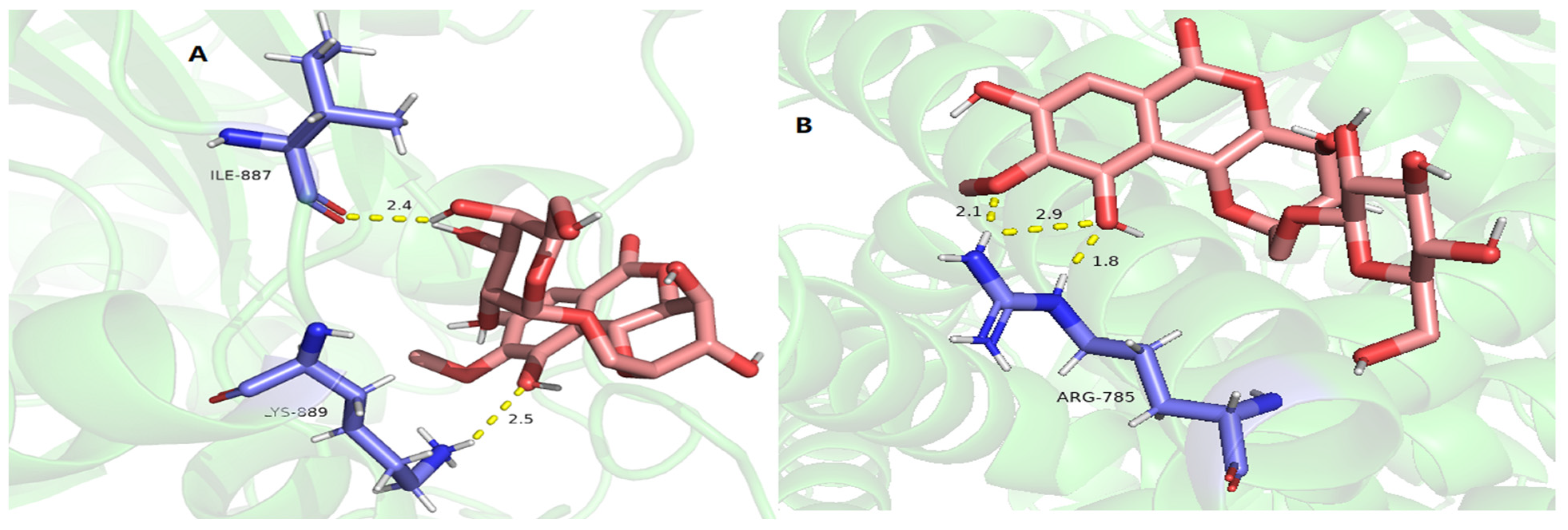 Molecules 29 01178 g015