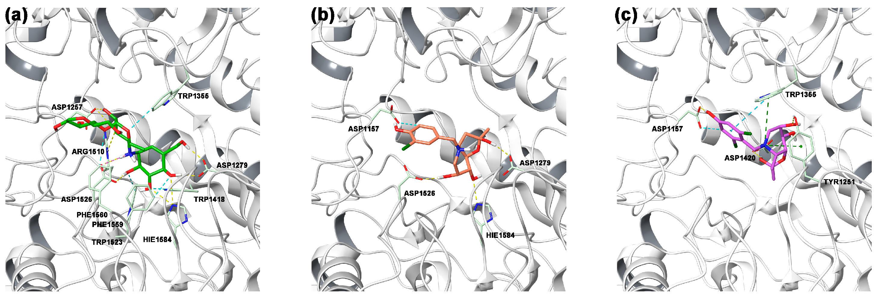 Molecules 29 01179 g004