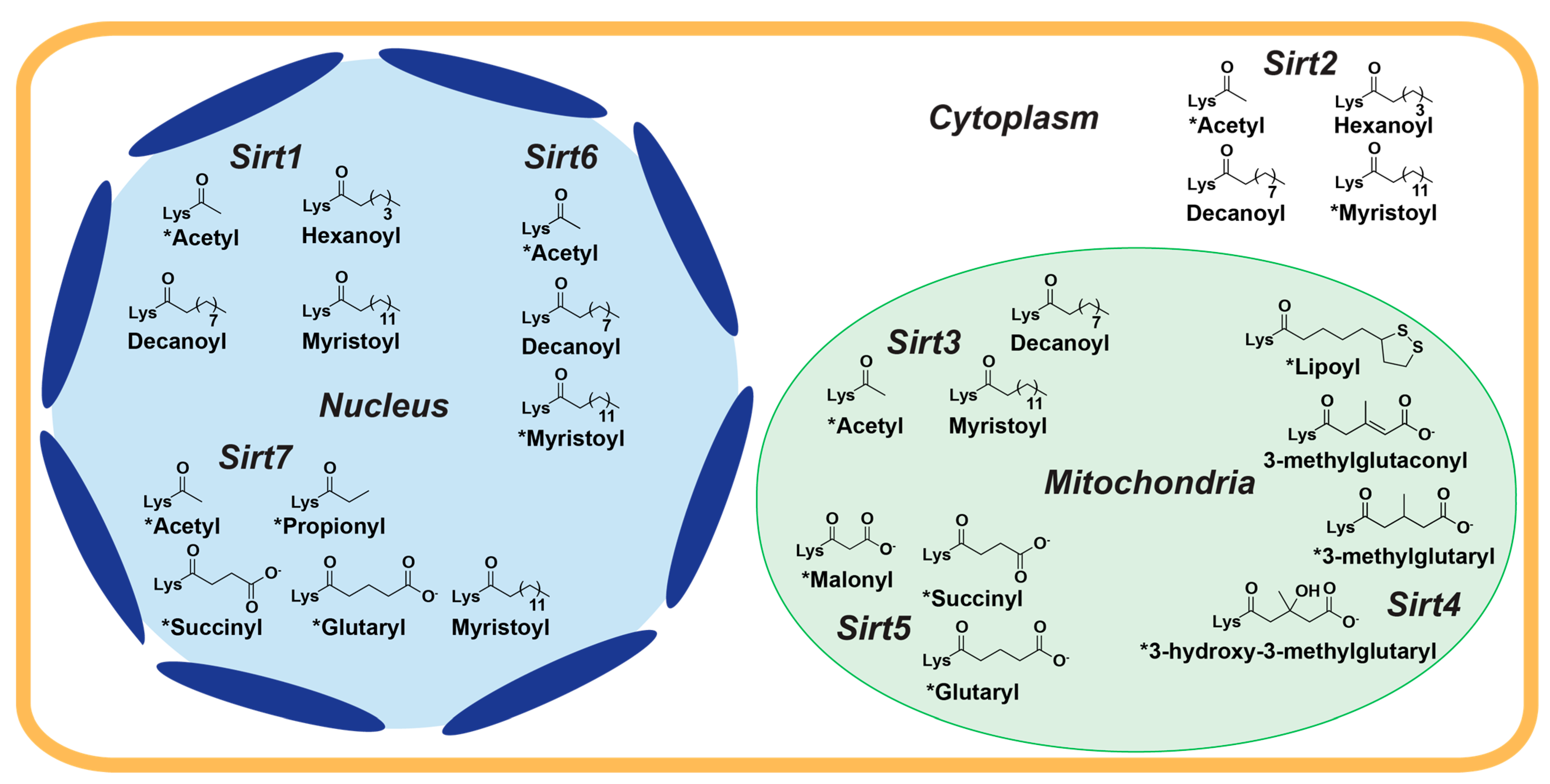Molecules 29 01185 g001