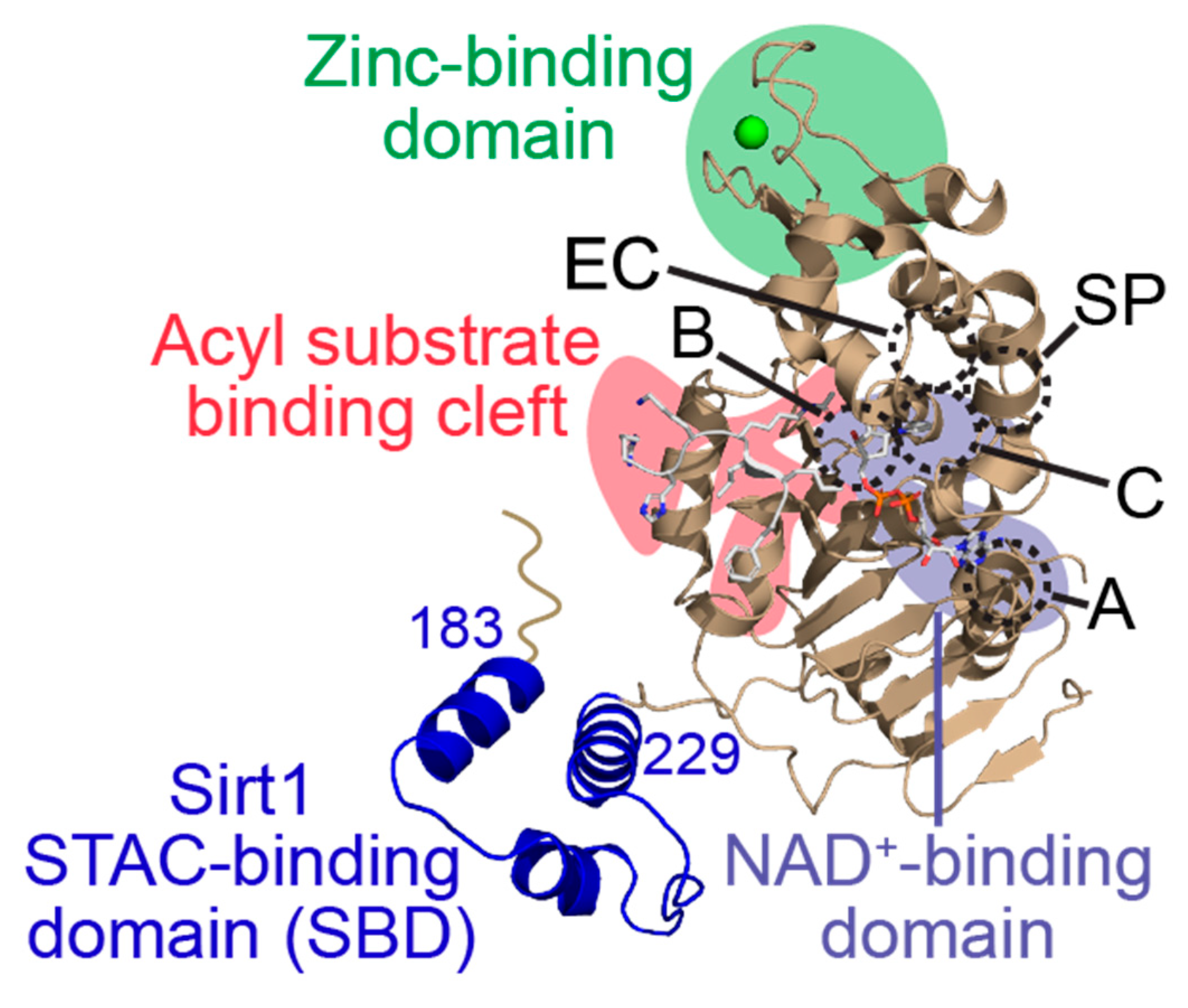 Molecules 29 01185 g002