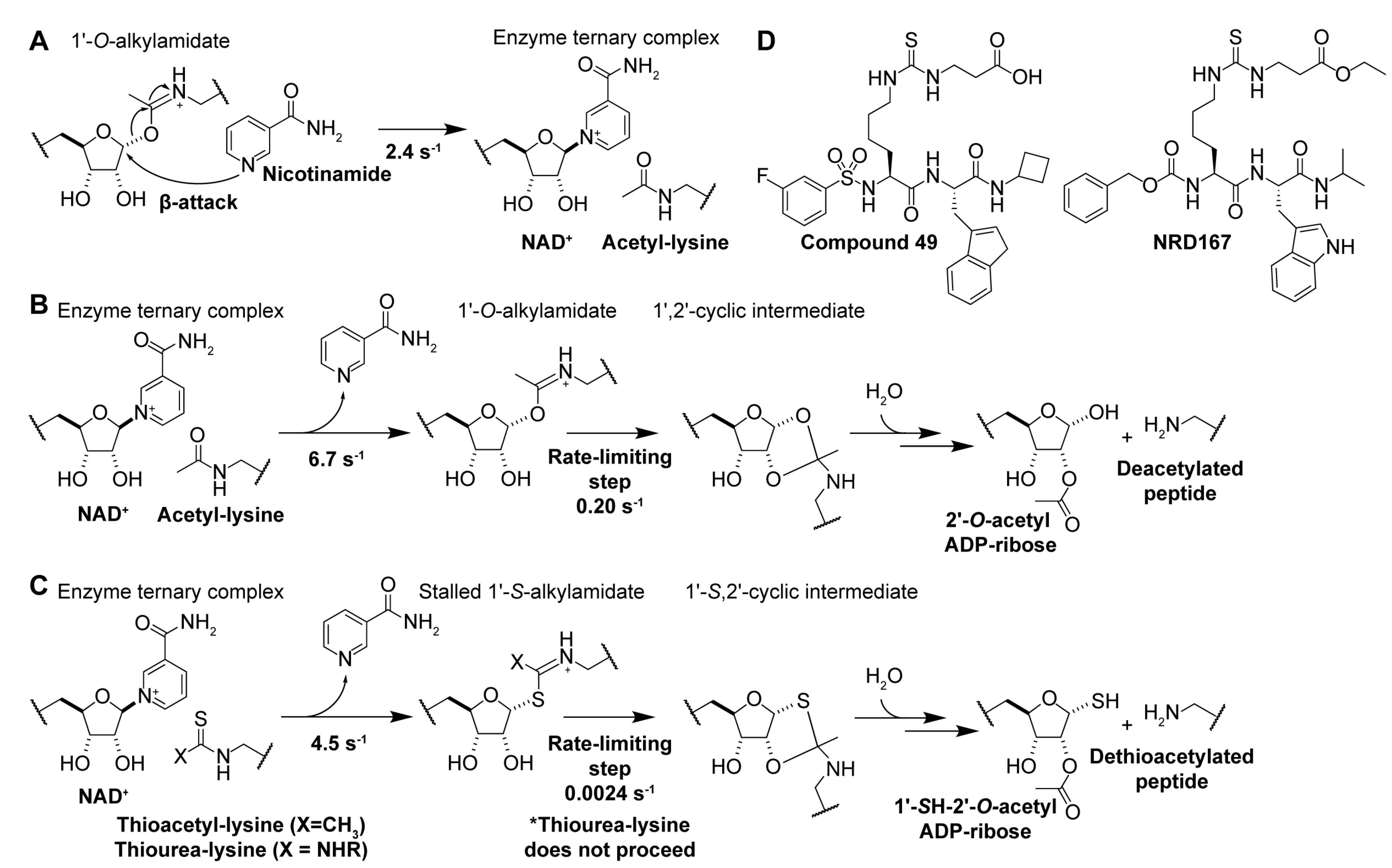 Molecules 29 01185 g005