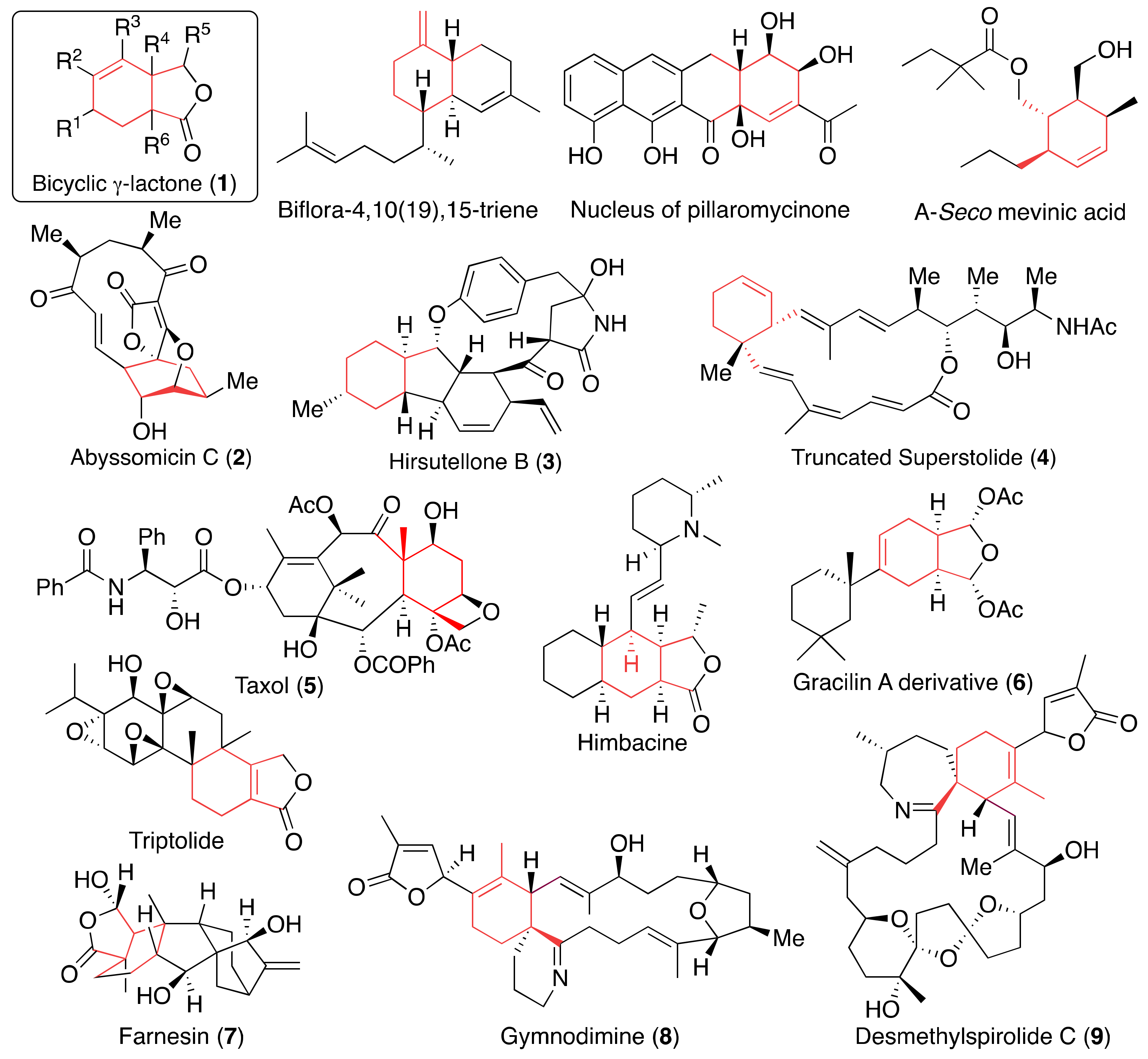 Molecules 29 01187 g002