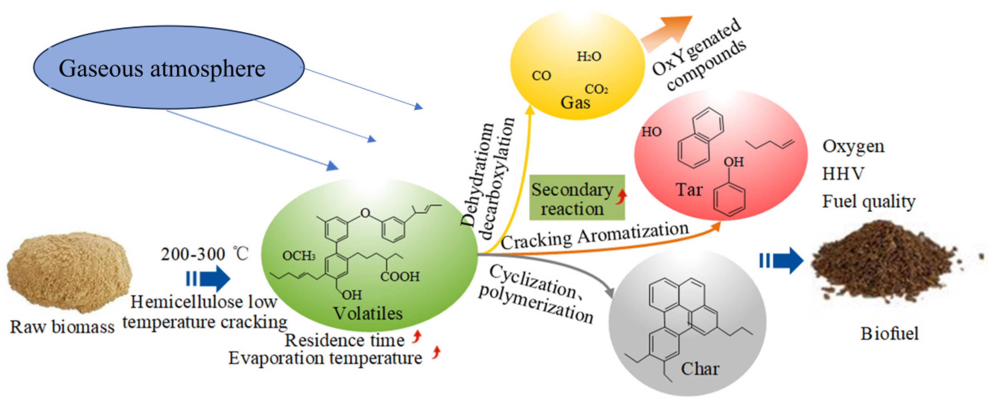 Molecules 29 01188 g001