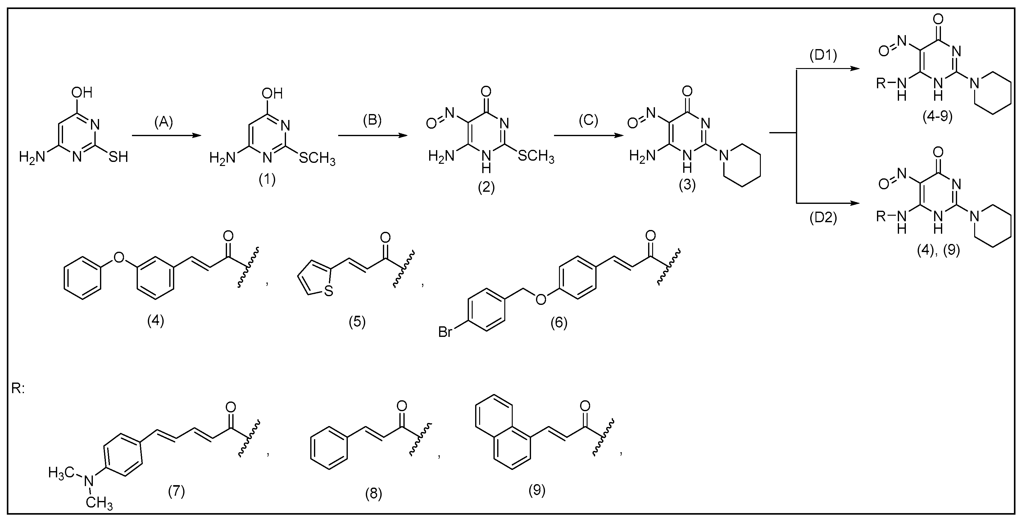 Molecules 29 01189 g003
