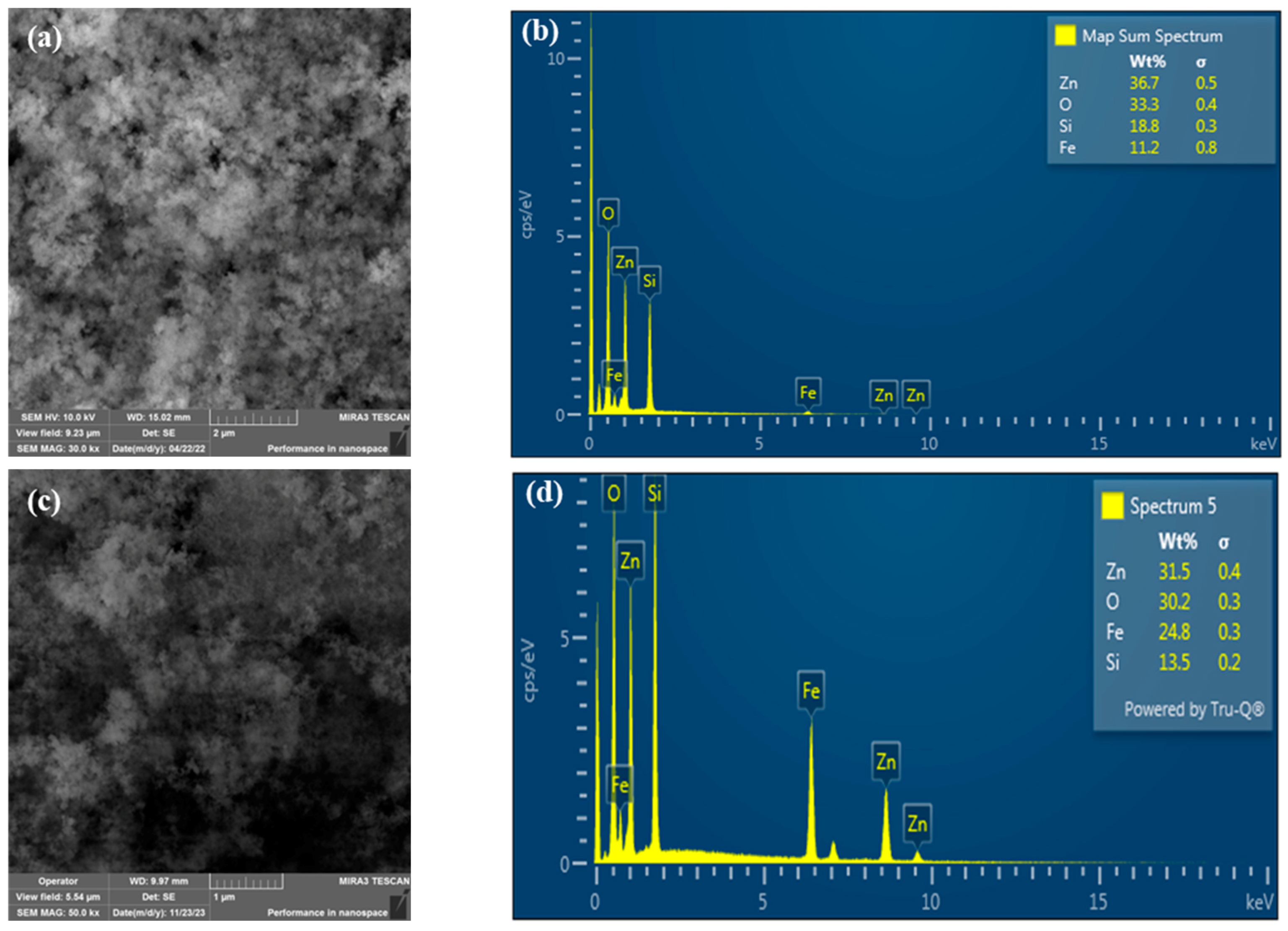 Molecules 29 01190 g001